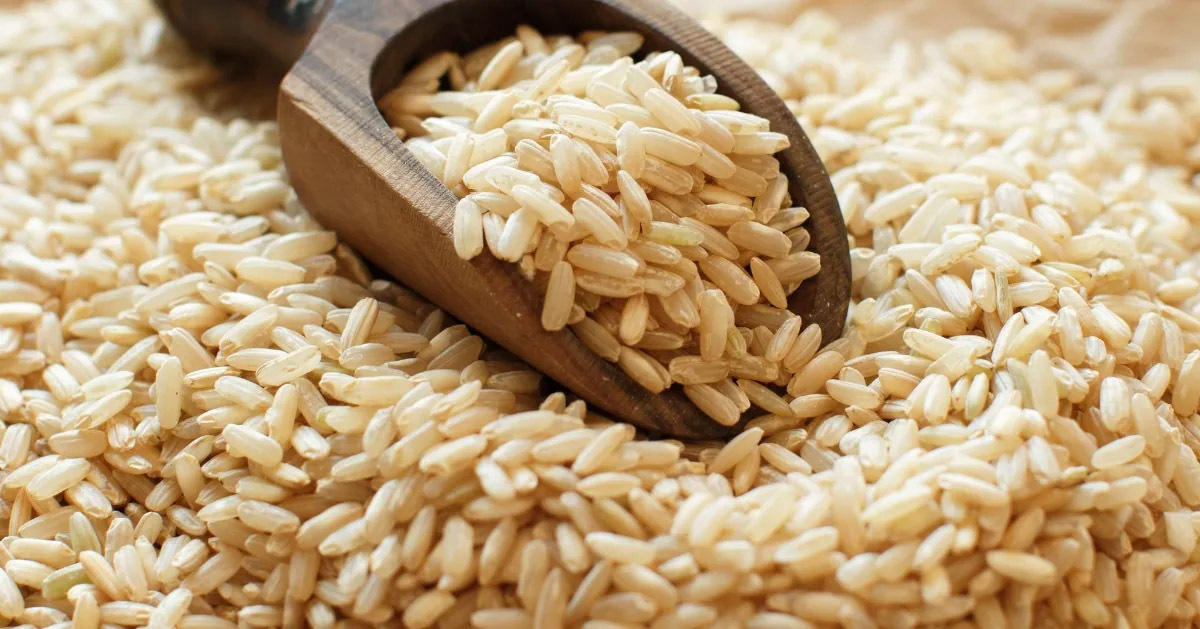 全穀燕麥粒保留燕麥麩皮、胚乳及胚芽,更加健康營養