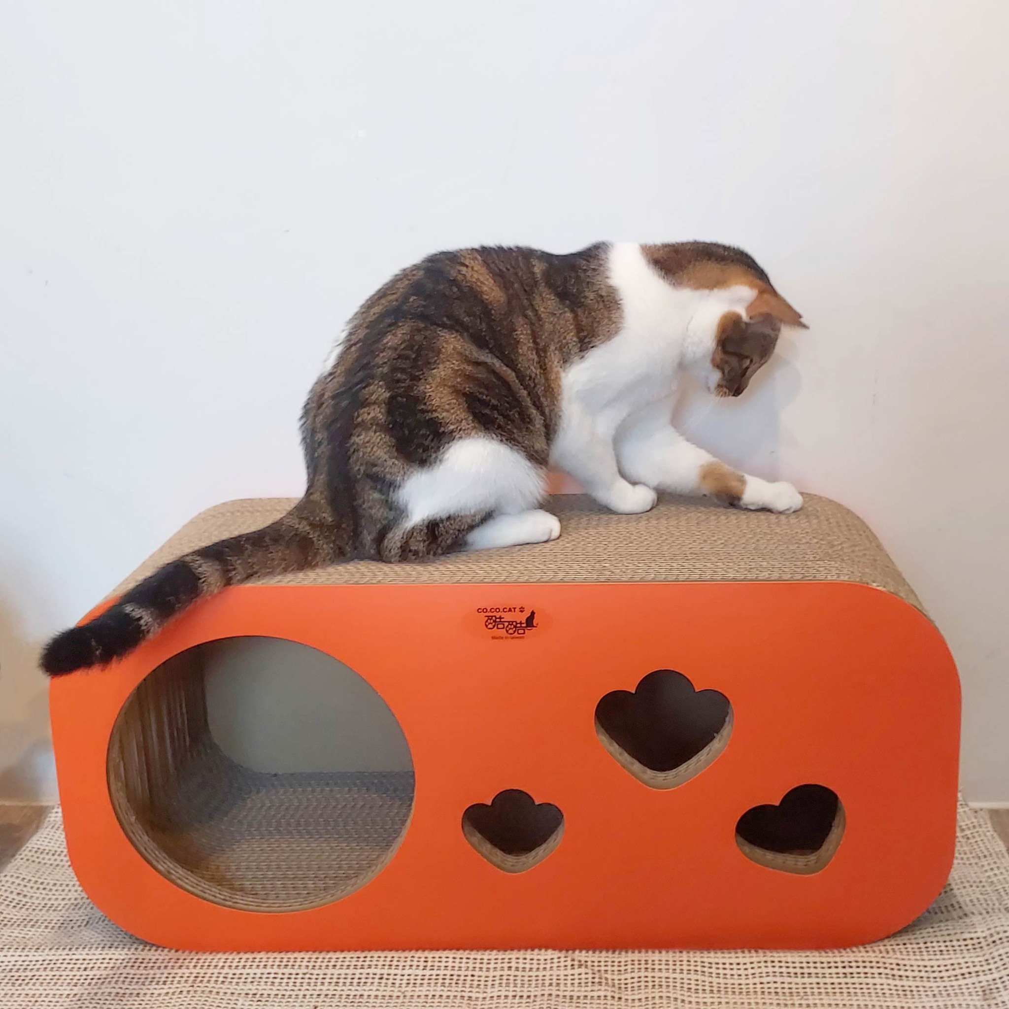 台灣CO.CO.CAT酷酷貓｜大洞洞樂貓抓板