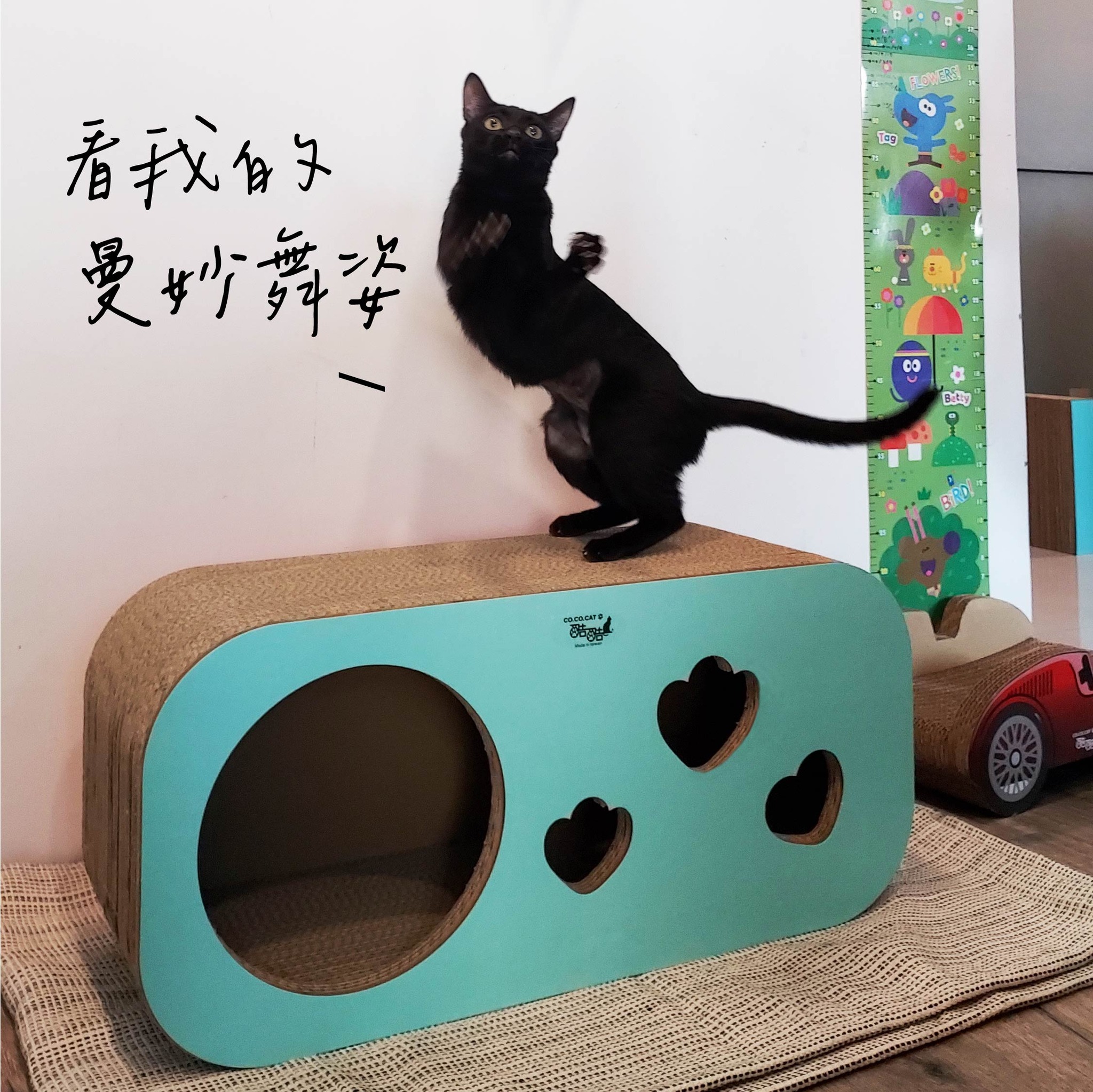 台灣CO.CO.CAT酷酷貓｜大洞洞樂貓抓板