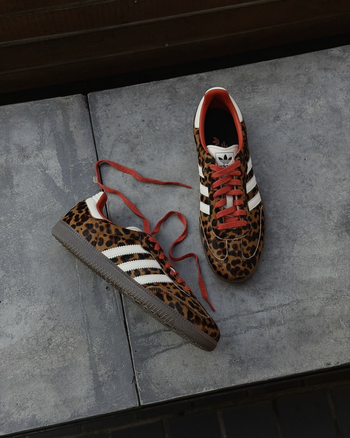 <豹歉了降價了>Adidas OG Samba 德訓鞋 馬毛 焦糖底 豹紋