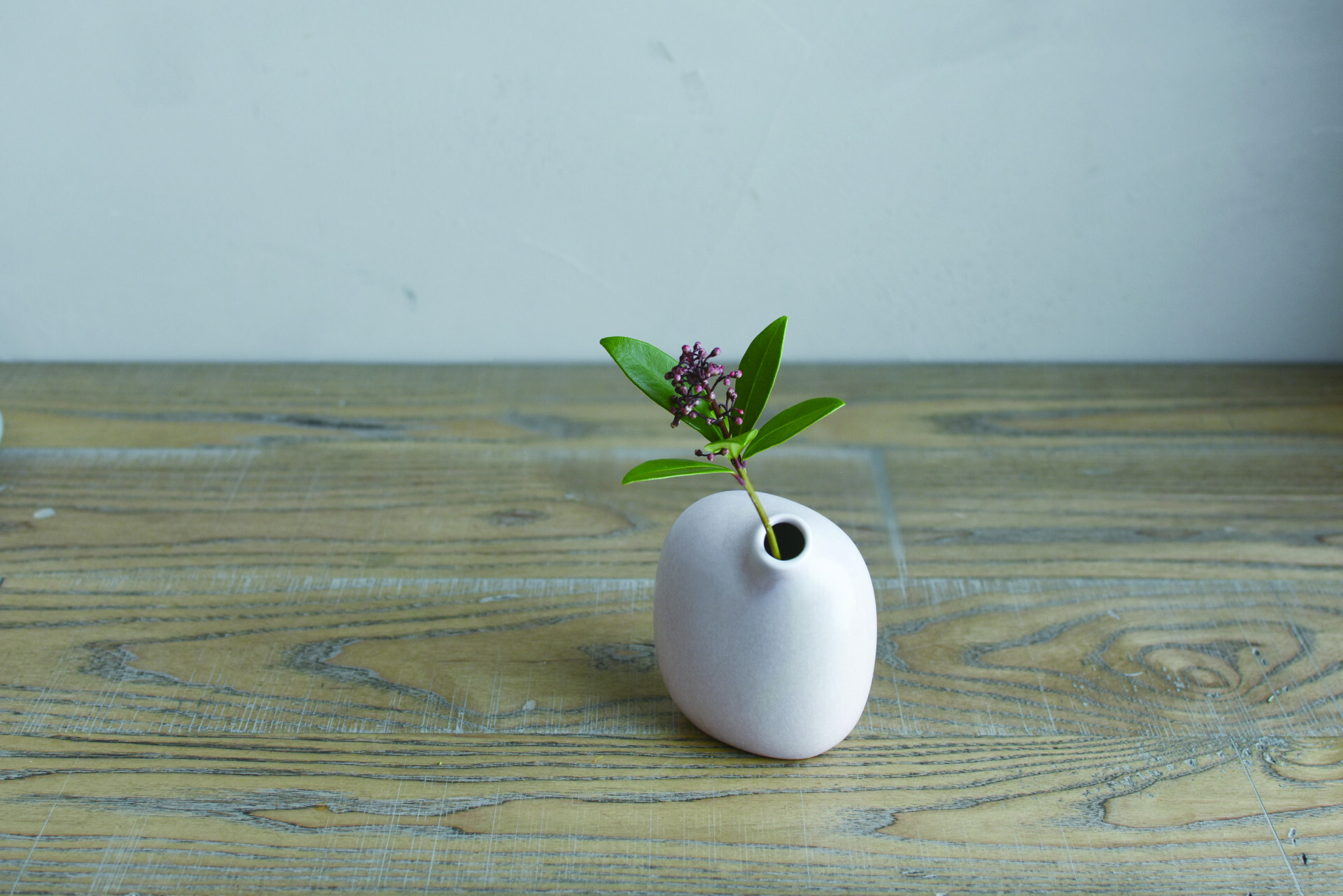 KINTO-SACCO 陶瓷造型花瓶,知名設計師柴田文江打造,小口徑能讓瓶身曲線更為豐滿