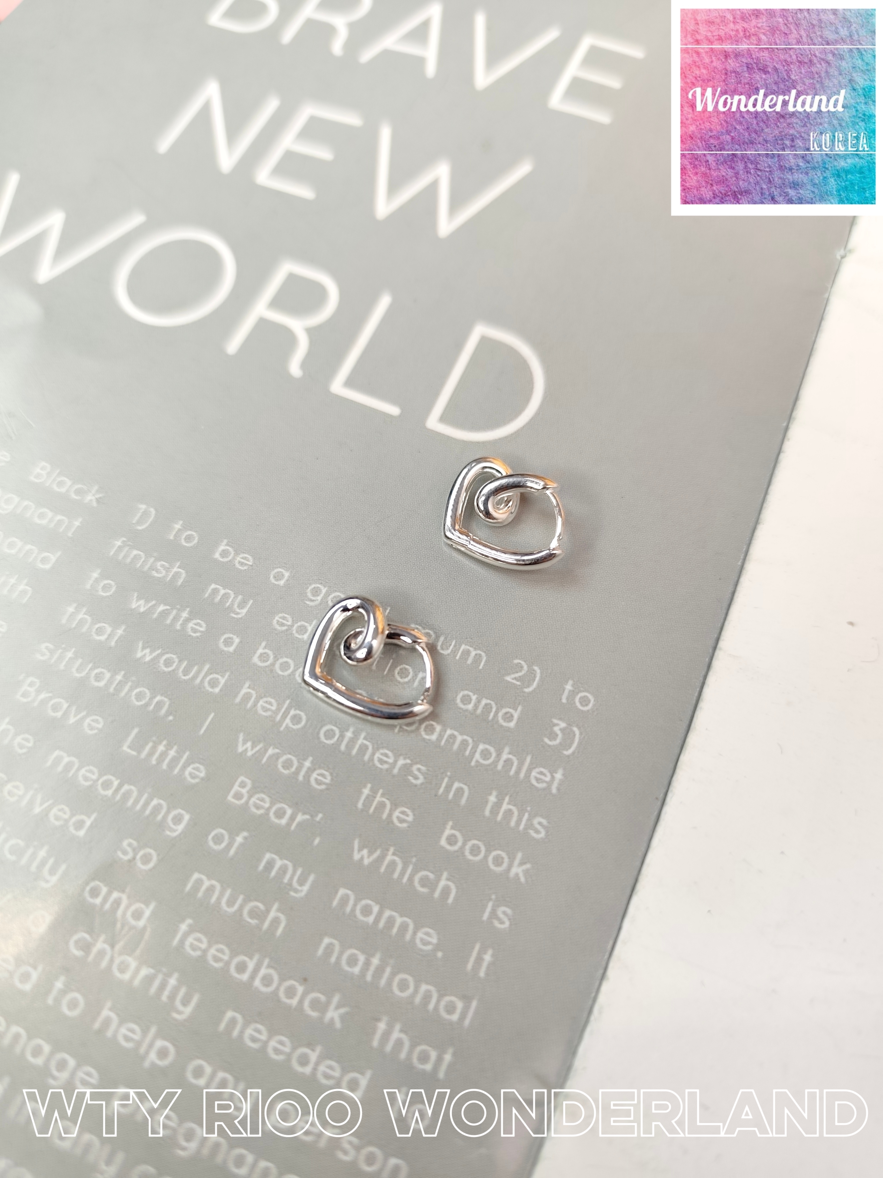 W17 W011310紐心耳