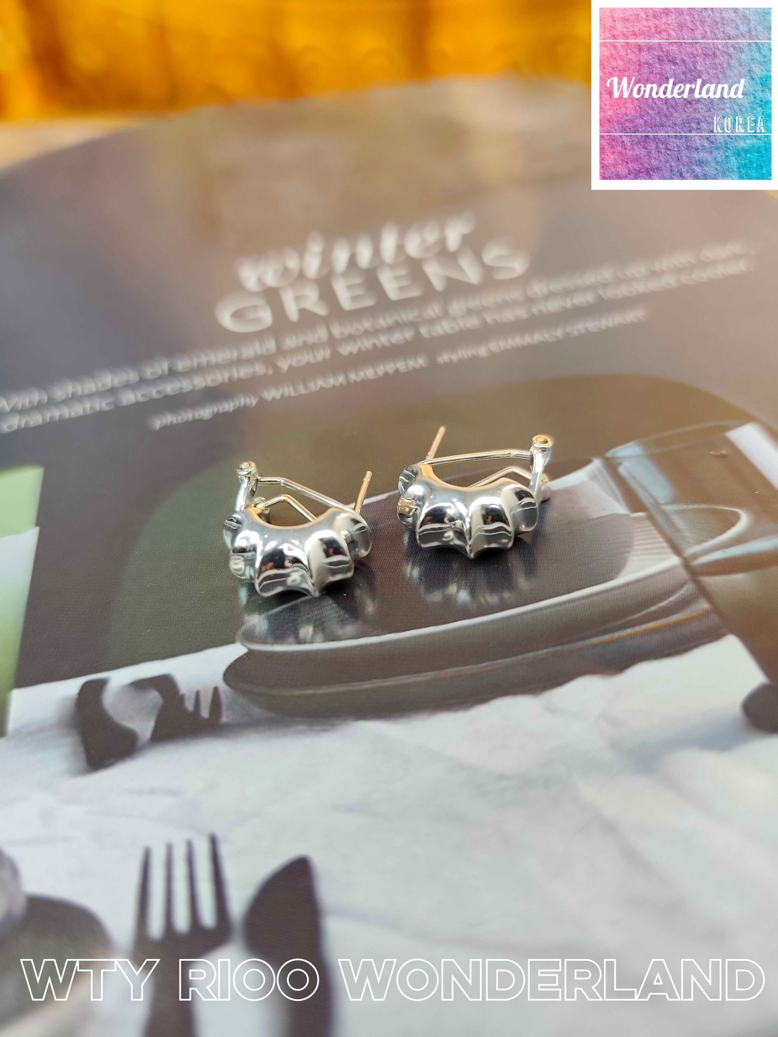 W28 W011317立體重工圈耳