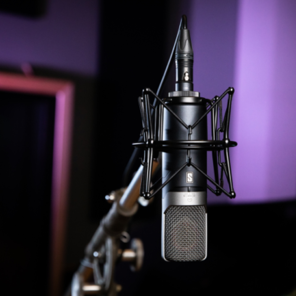 Slate Digital Slate Digital / ML-1A 心形電容式麥克風 第 2 張圖片｜三峽麥克風