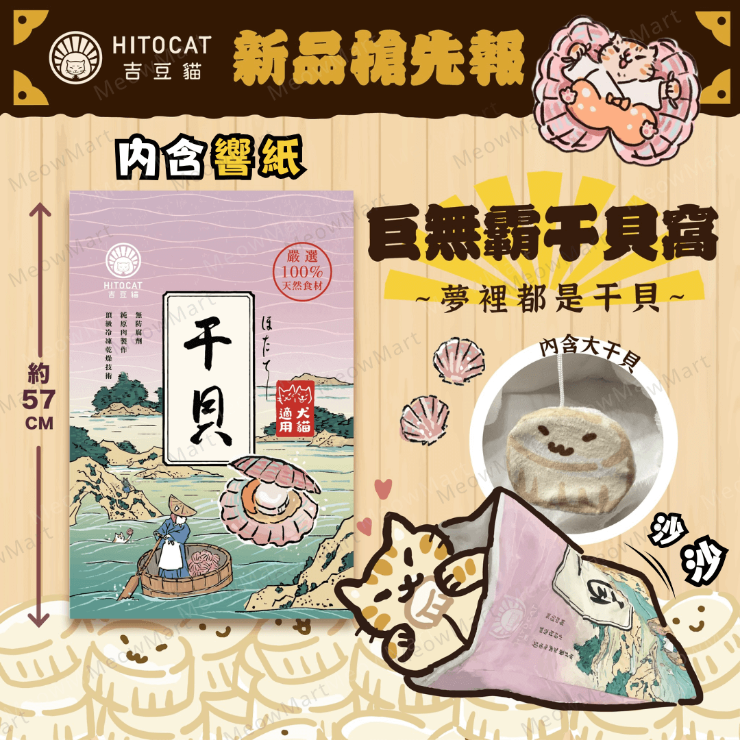 台灣吉豆貓｜巨無霸干貝窩