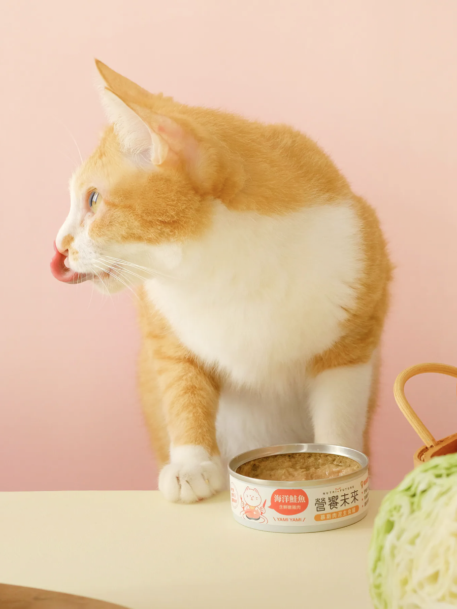 【營饗未來】慕斯肉泥主食罐｜海洋鮭魚