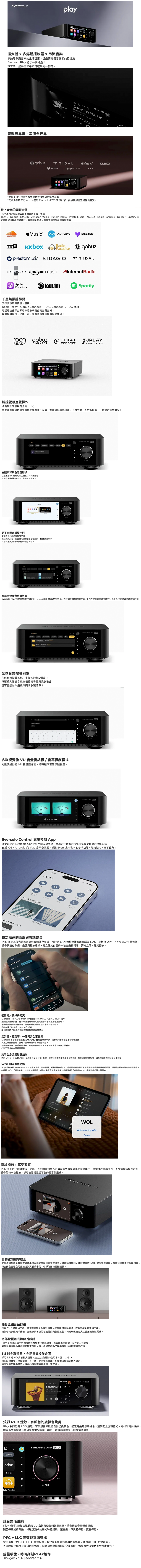 Eversolo Play CD Edition 背板 音訊輸出端子