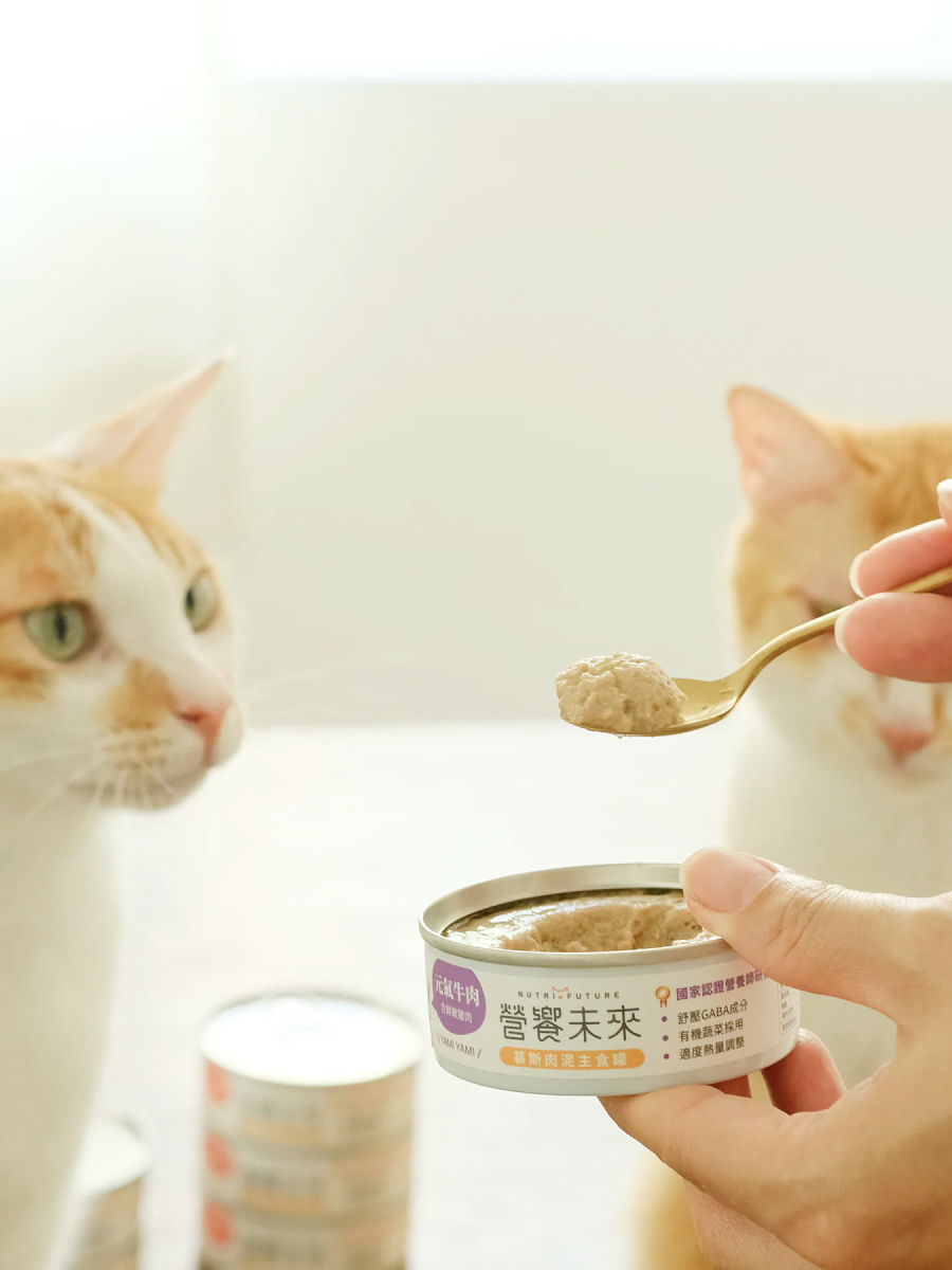 【營饗未來】慕斯肉泥主食罐｜元氣牛肉