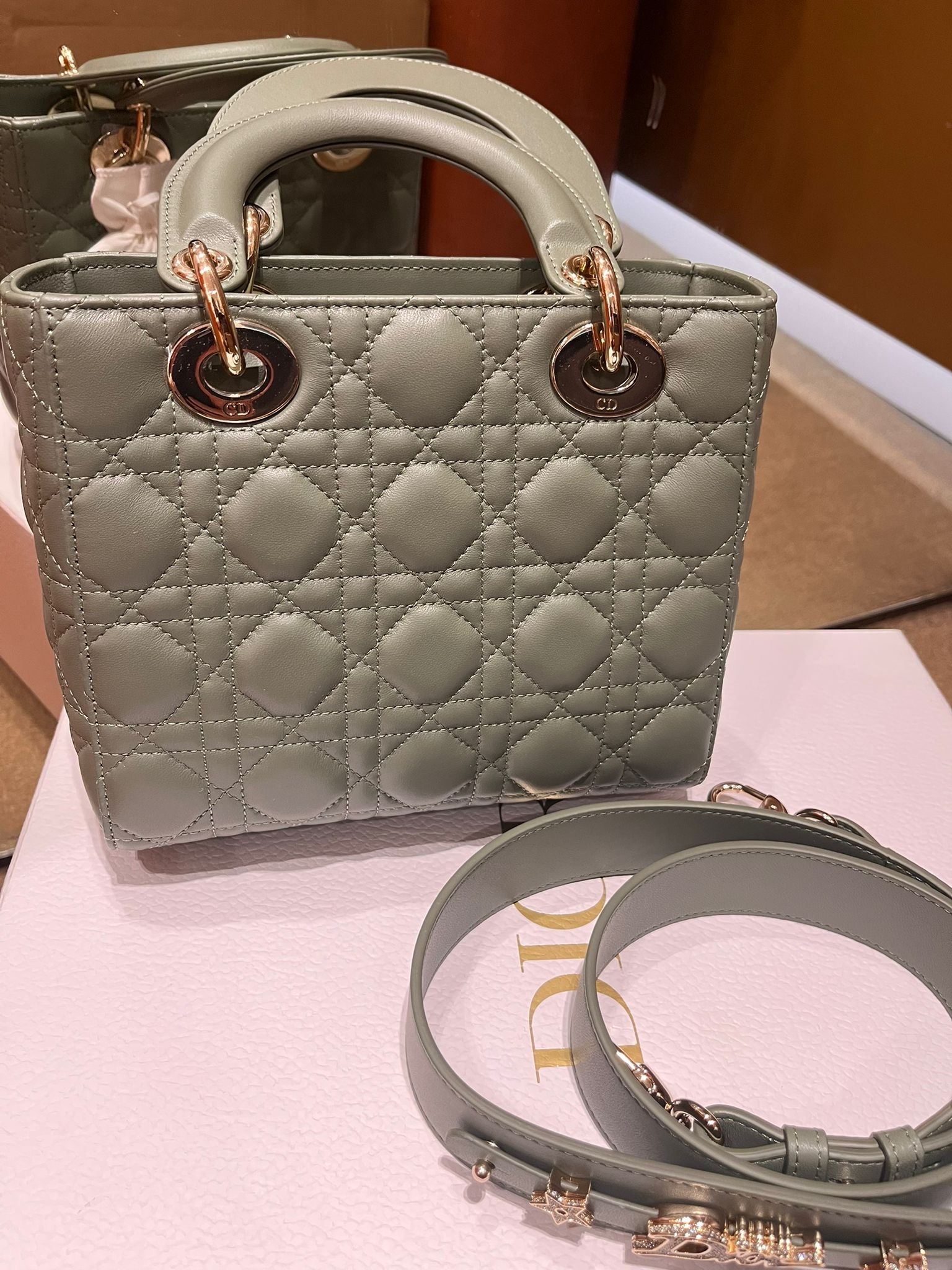 Dior mini 鼠尾草綠 （閒置品）