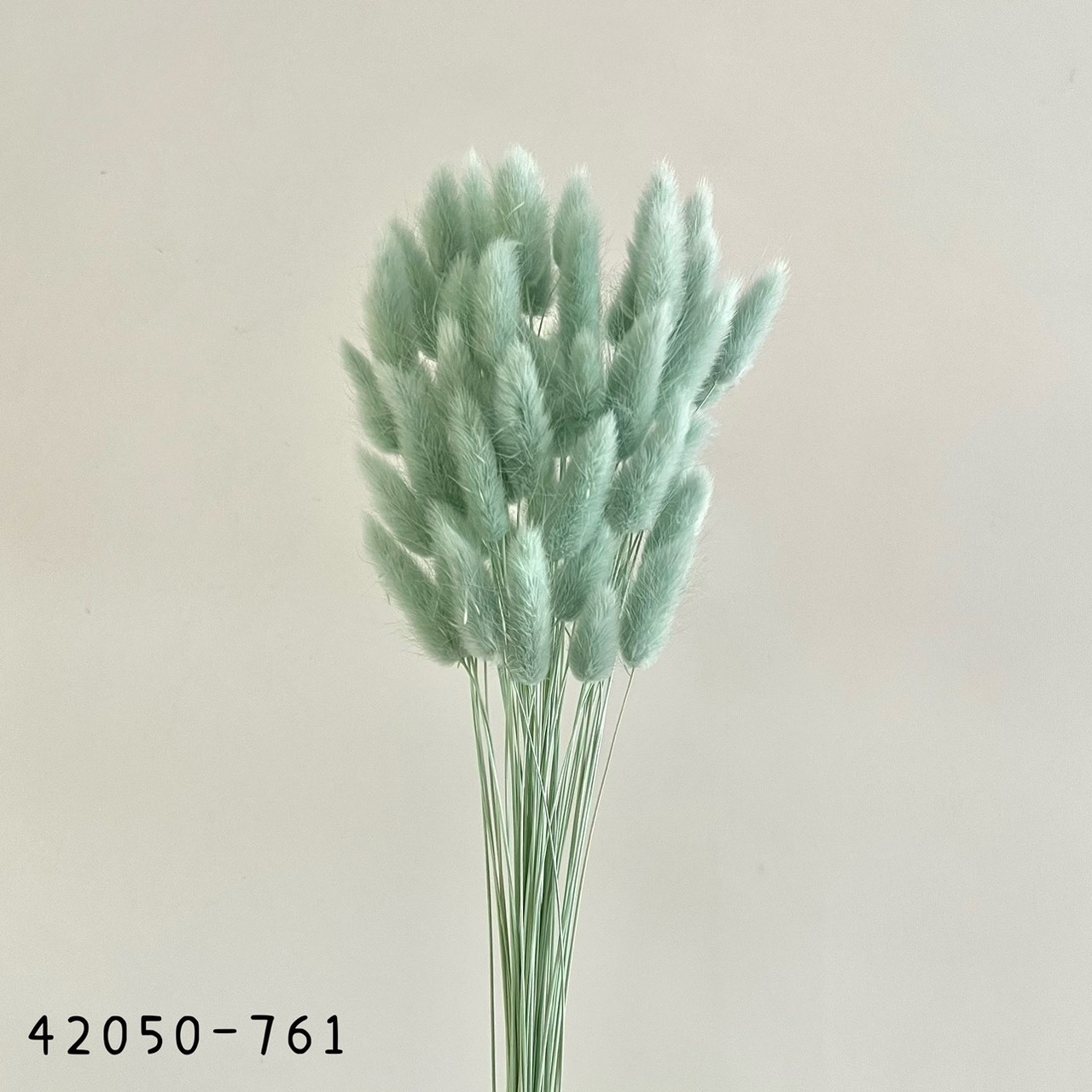 日本兔尾草 42050-761