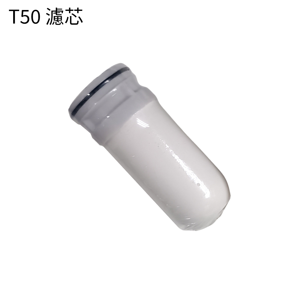 日本TSK T50-濾芯 P2534