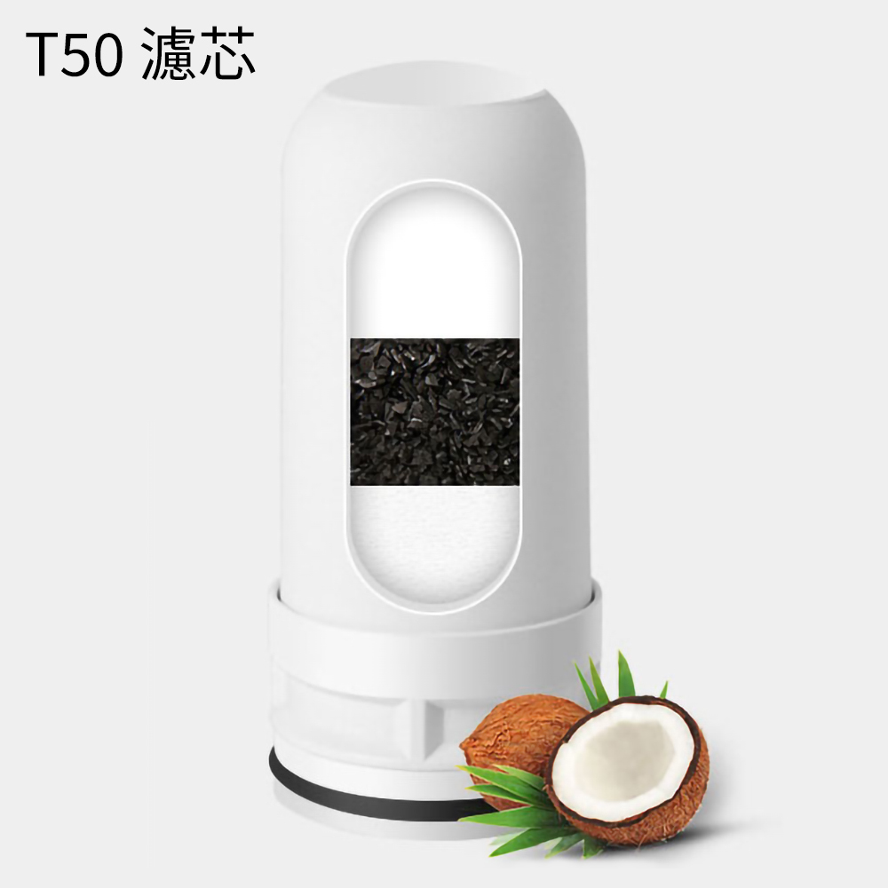 日本TSK T50-濾芯 P2534