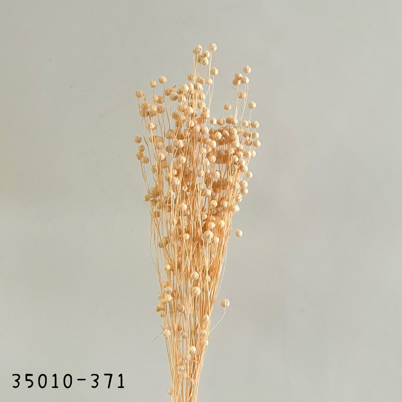 日本乾燥臨花 35010-371