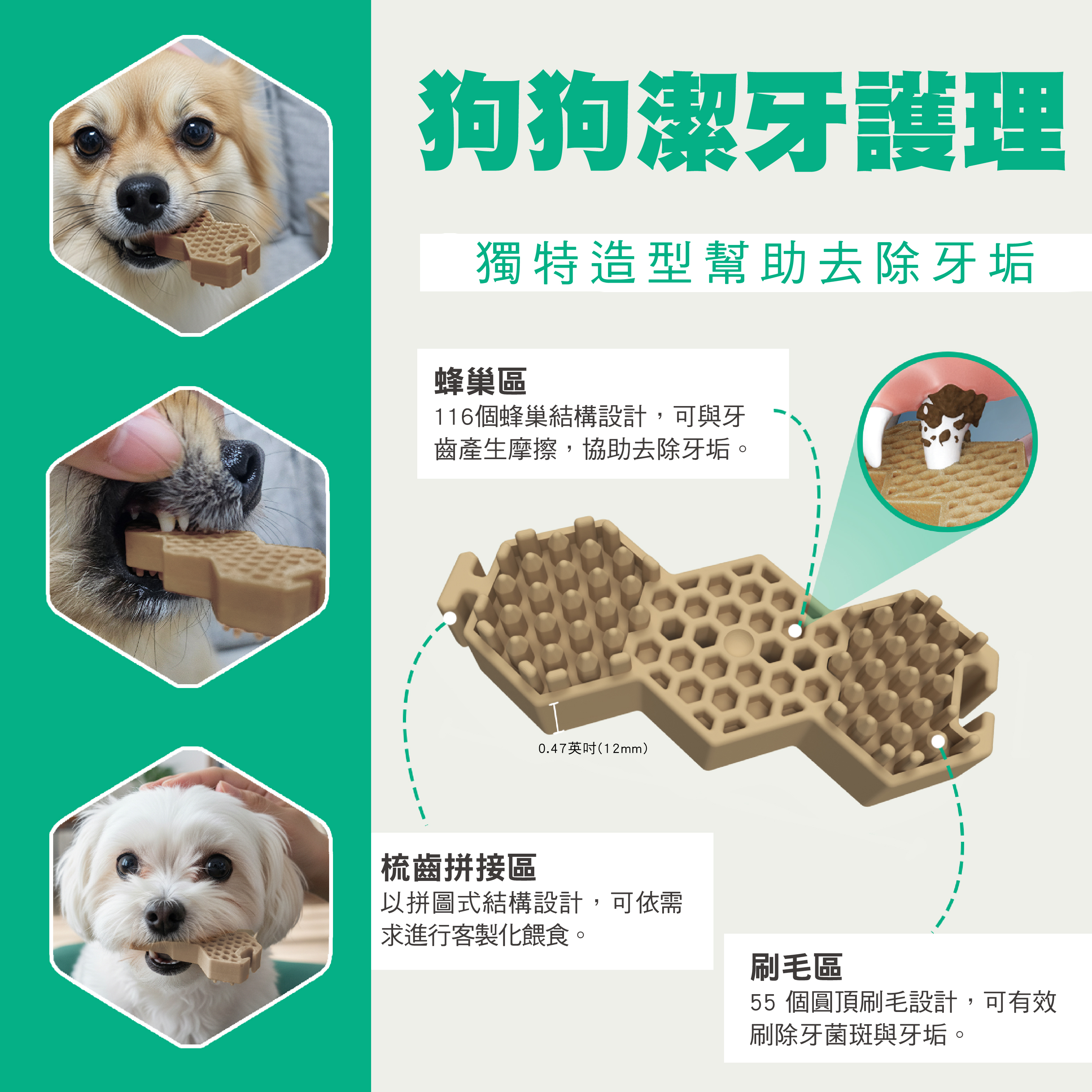Dr. Petra 沛特拉醫生-.狗狗潔牙棒 鮭魚口味