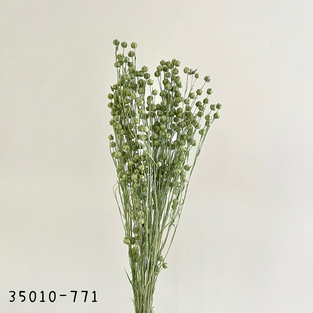 日本乾燥臨花 35010-771