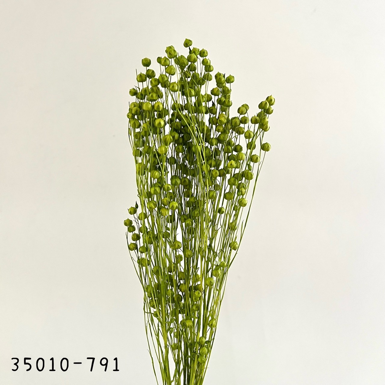 日本乾燥臨花 35010-791