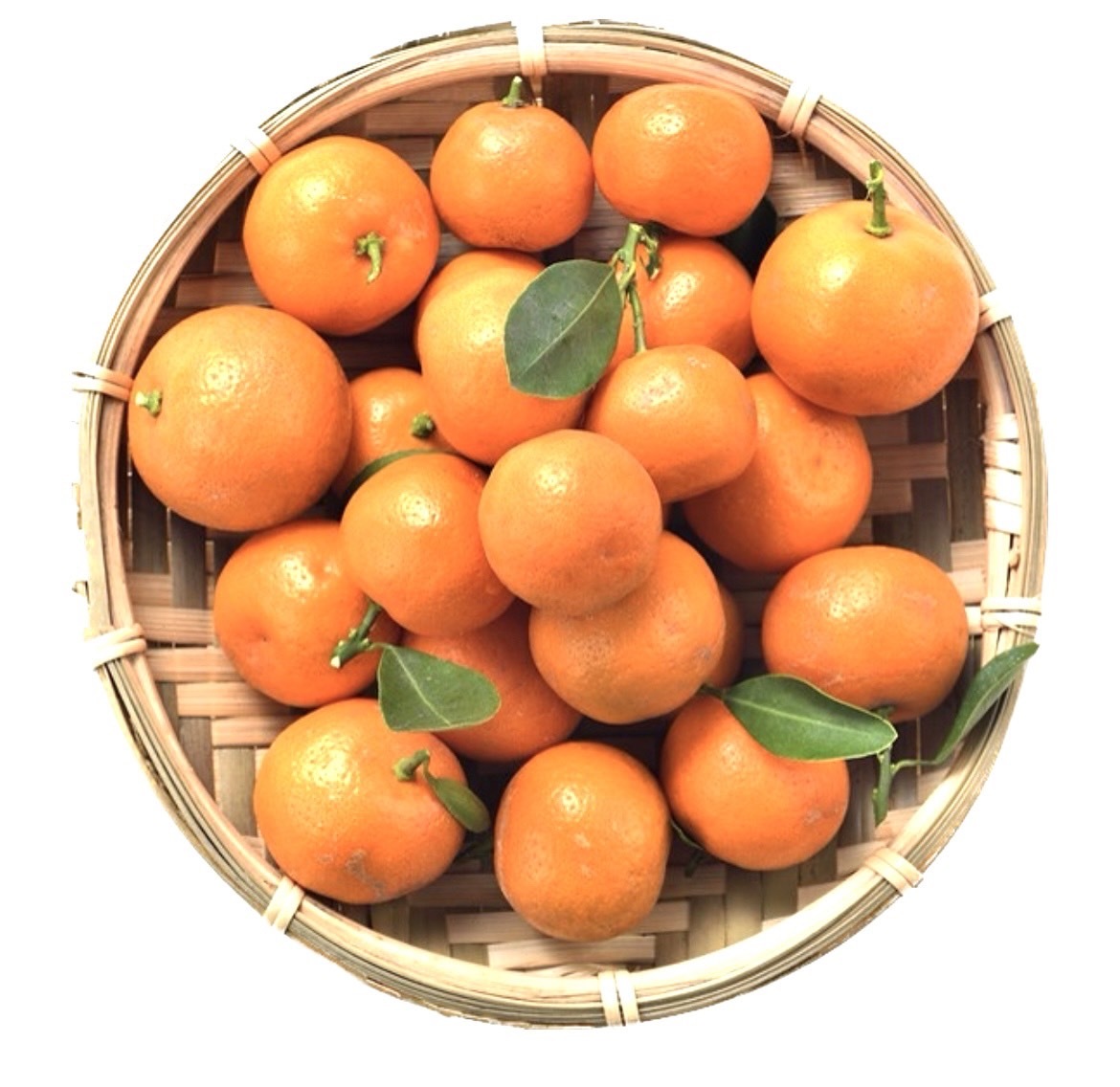 高雄分會│雲林茂谷柑箱裝 (約20斤)