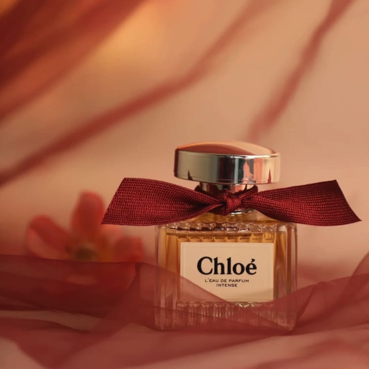 📦預購 CHLOE-玫瑰晨語女性淡香精50ml