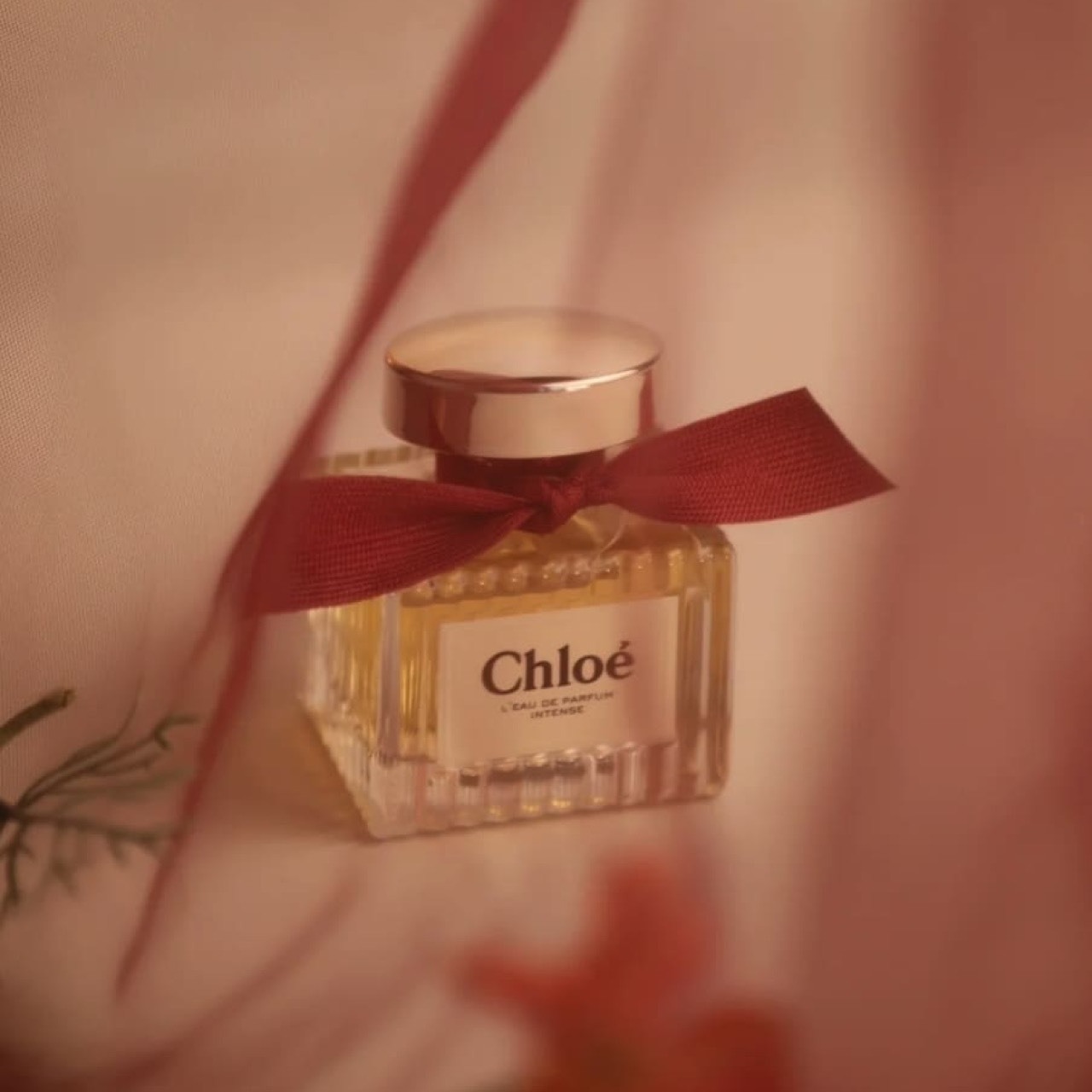 📦預購 CHLOE-玫瑰晨語女性淡香精50ml
