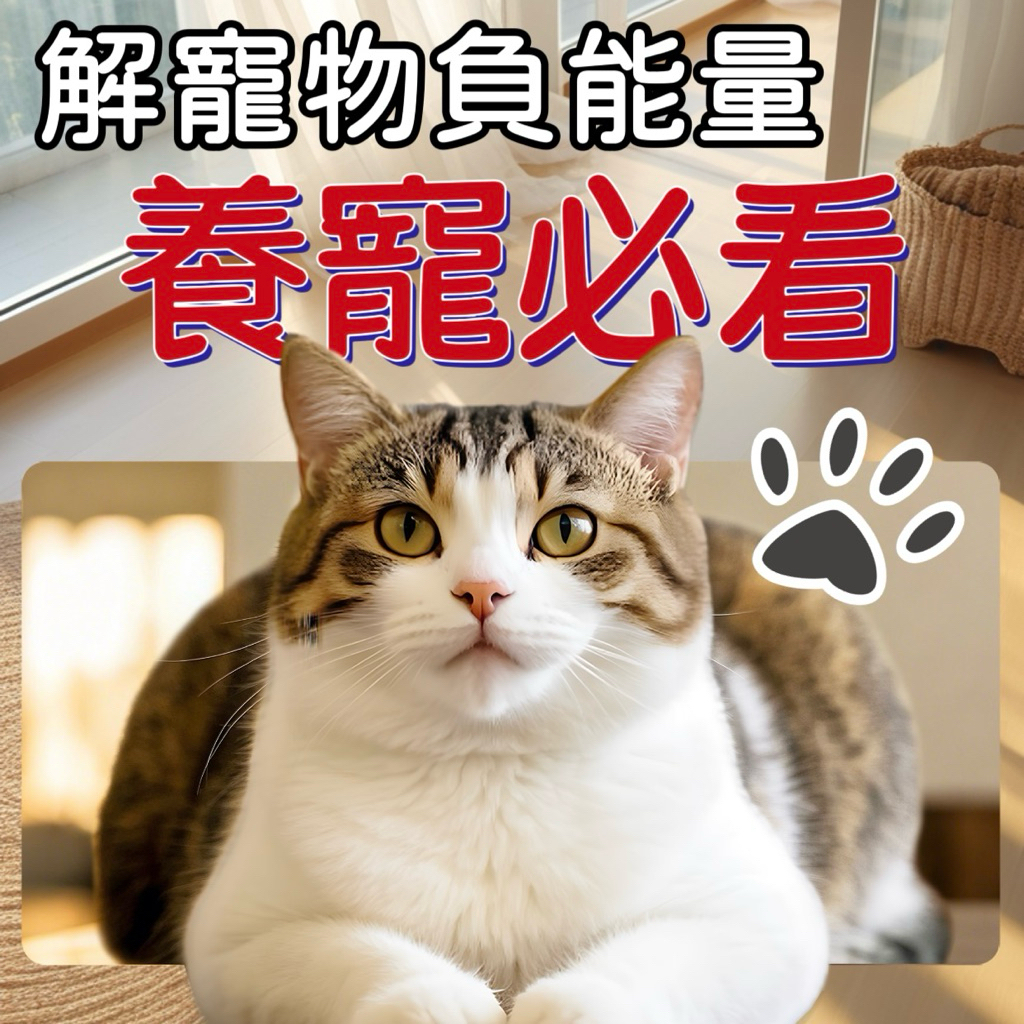 《天祐德愛寵》毛小孩提升正能量❤️解病氣化煞元氣穩定套裝‼️