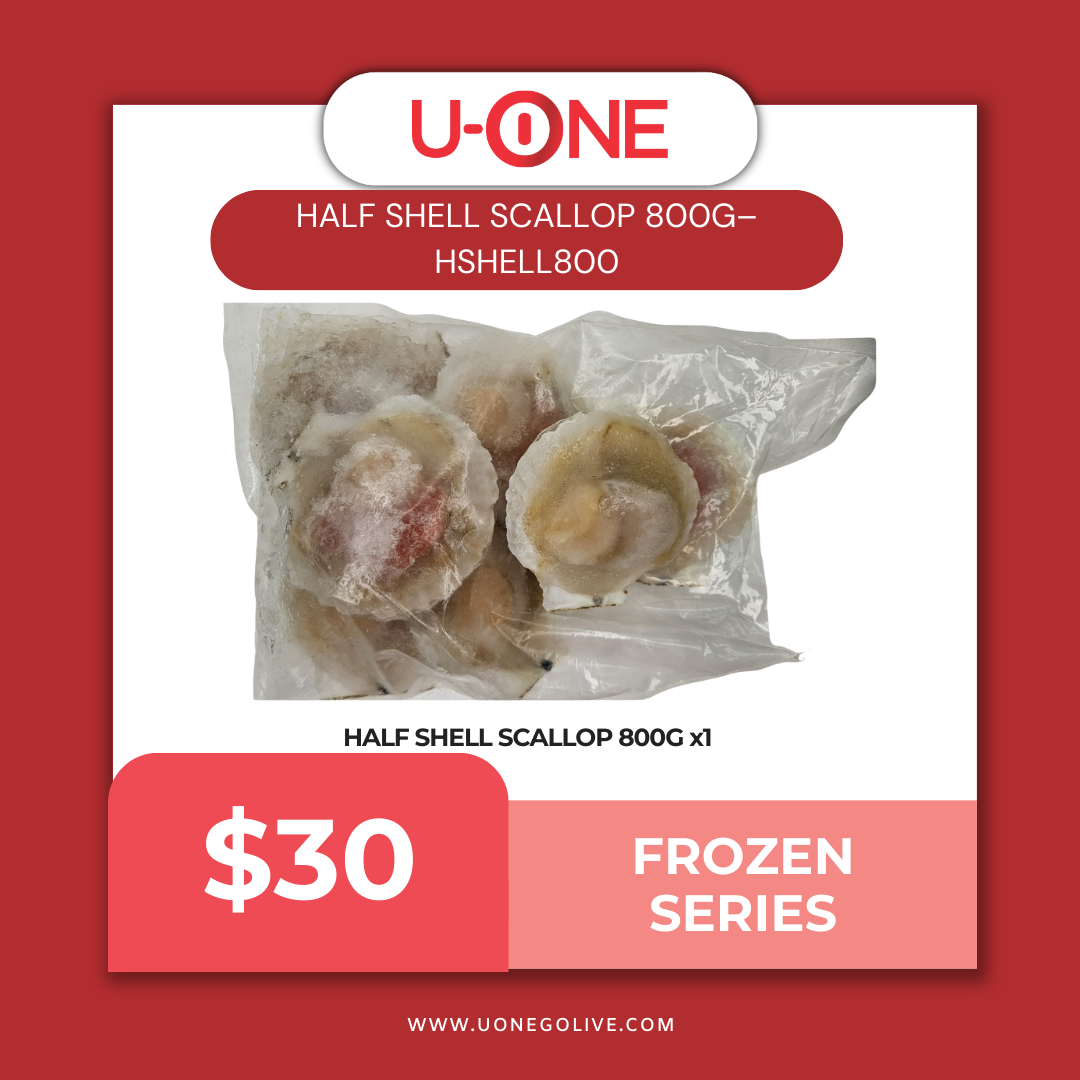 HALF SHELL SCALLOP 800G– HSHELL800