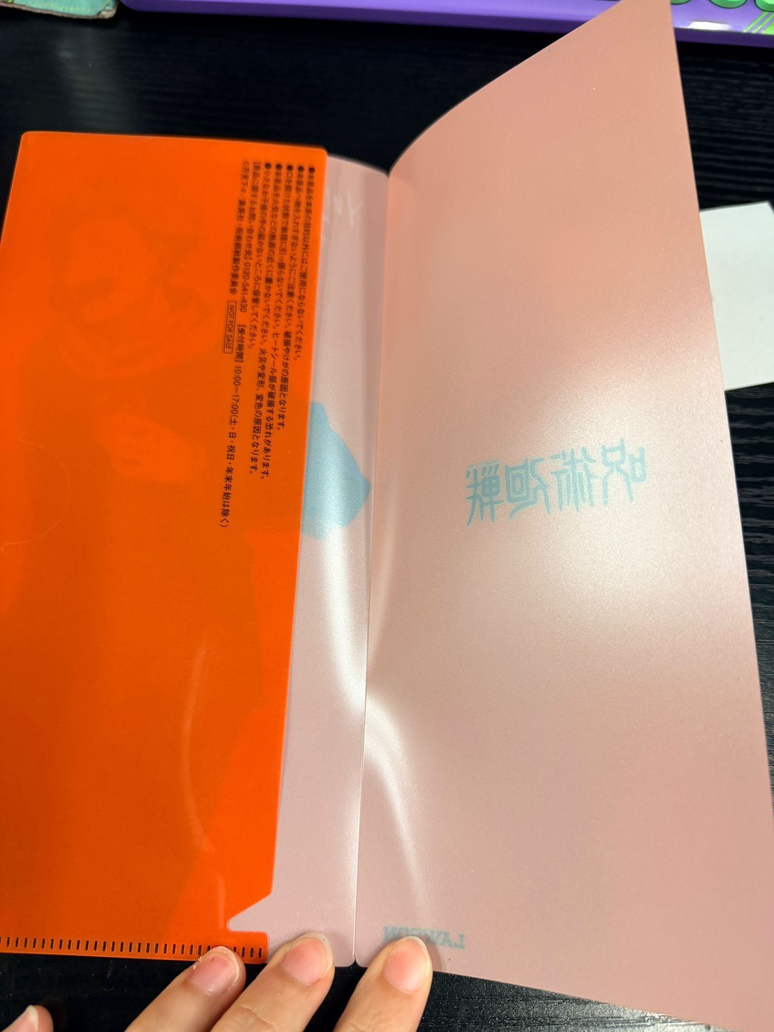 咒術迴戰 虎杖 mini file #RE08