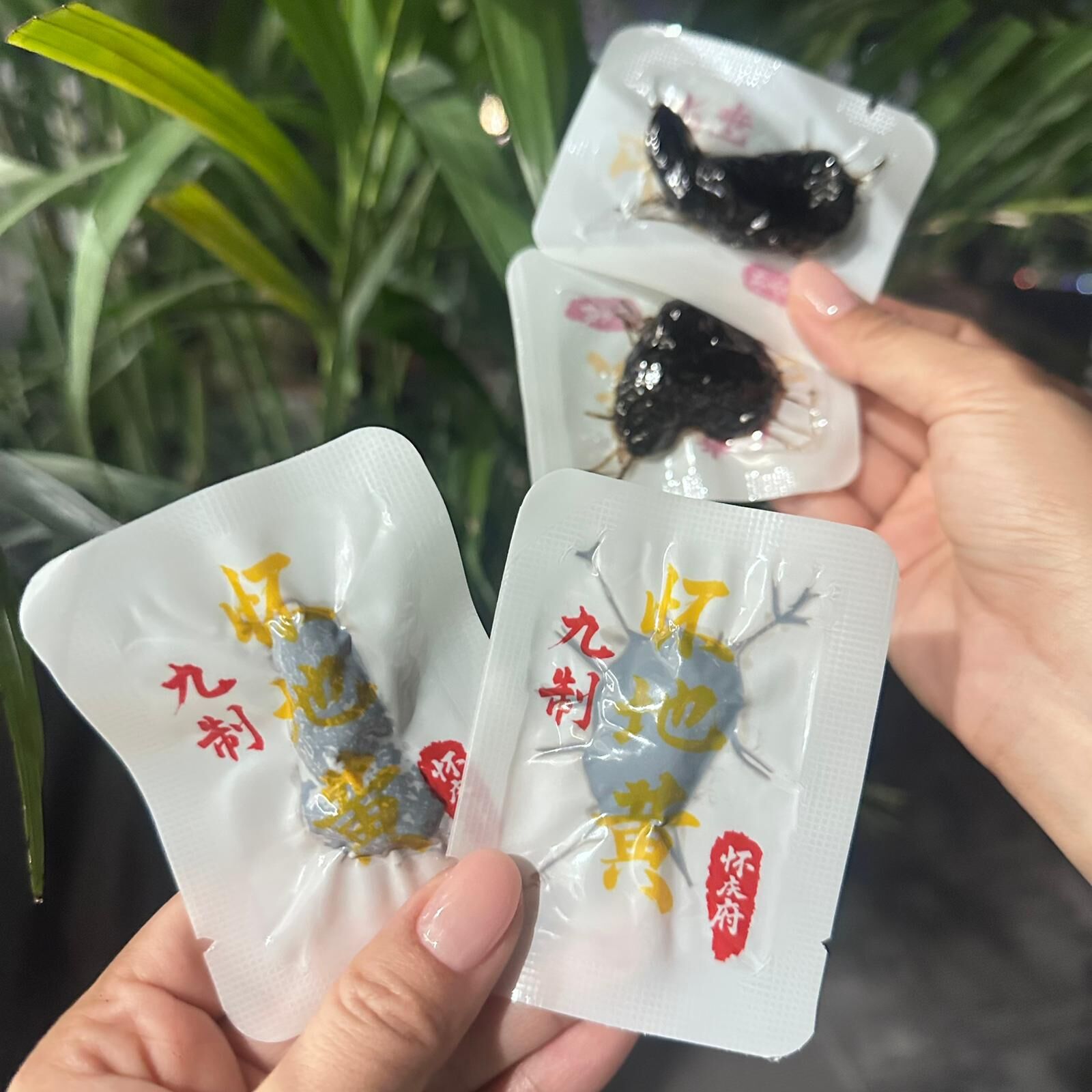 0115CB48-賽百草CB- 九蒸九曬懷地黃 250克/瓶 (A48)