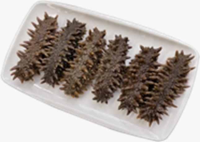 (6108) 急凍北海道刺參約1磅