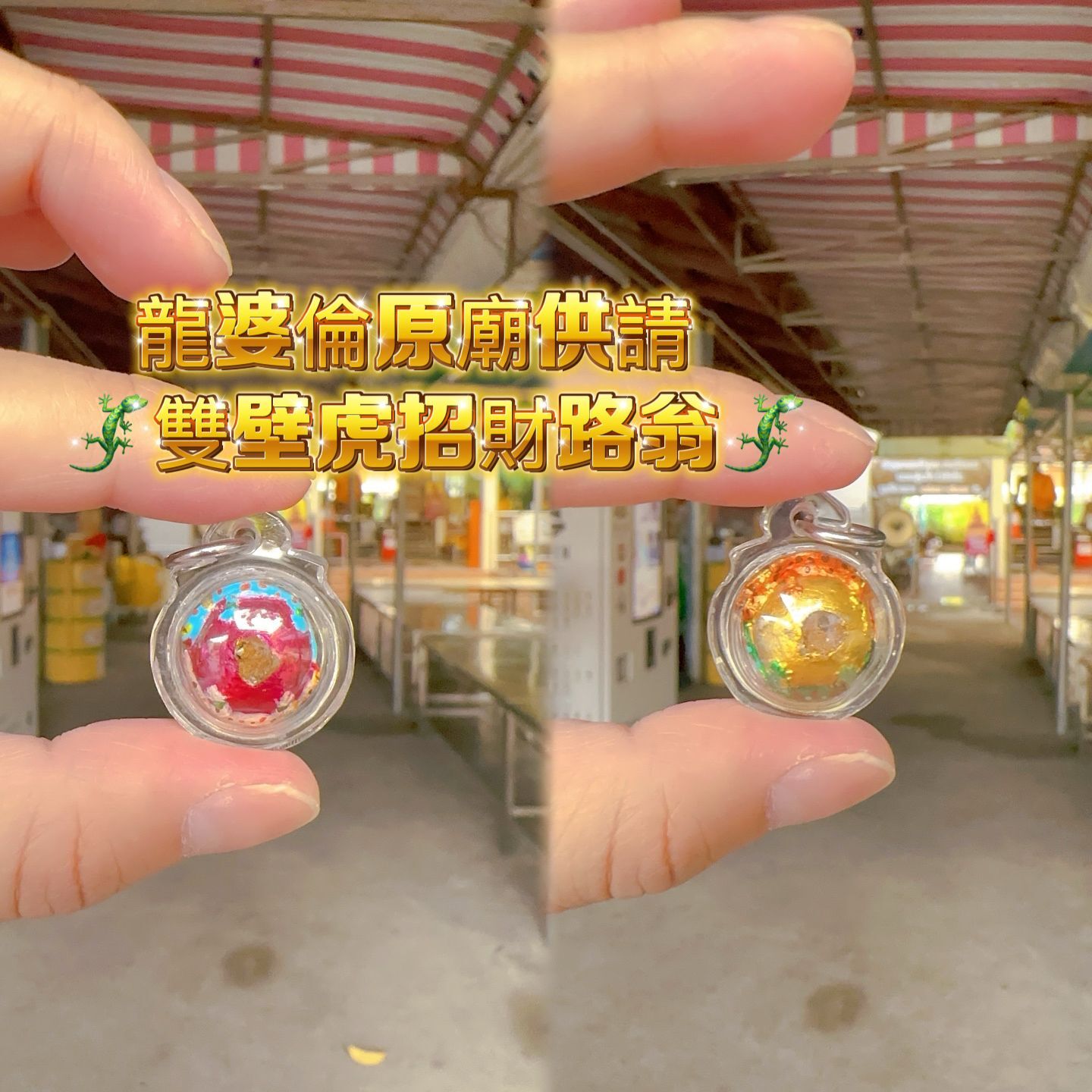 龍婆倫原廟供請  🦎雙壁虎招財路翁🦎