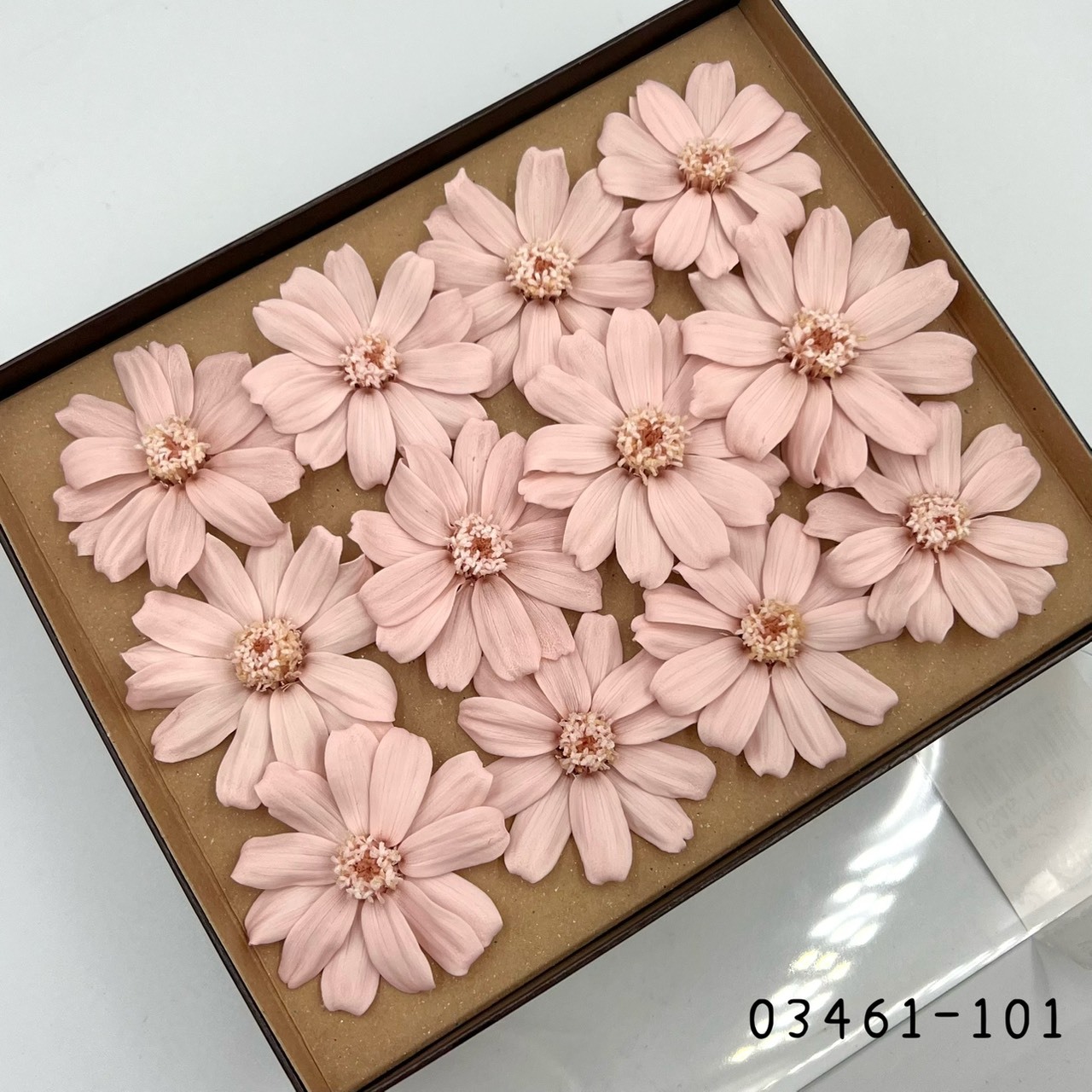 日本不凋百日草(12朵) 03461-101