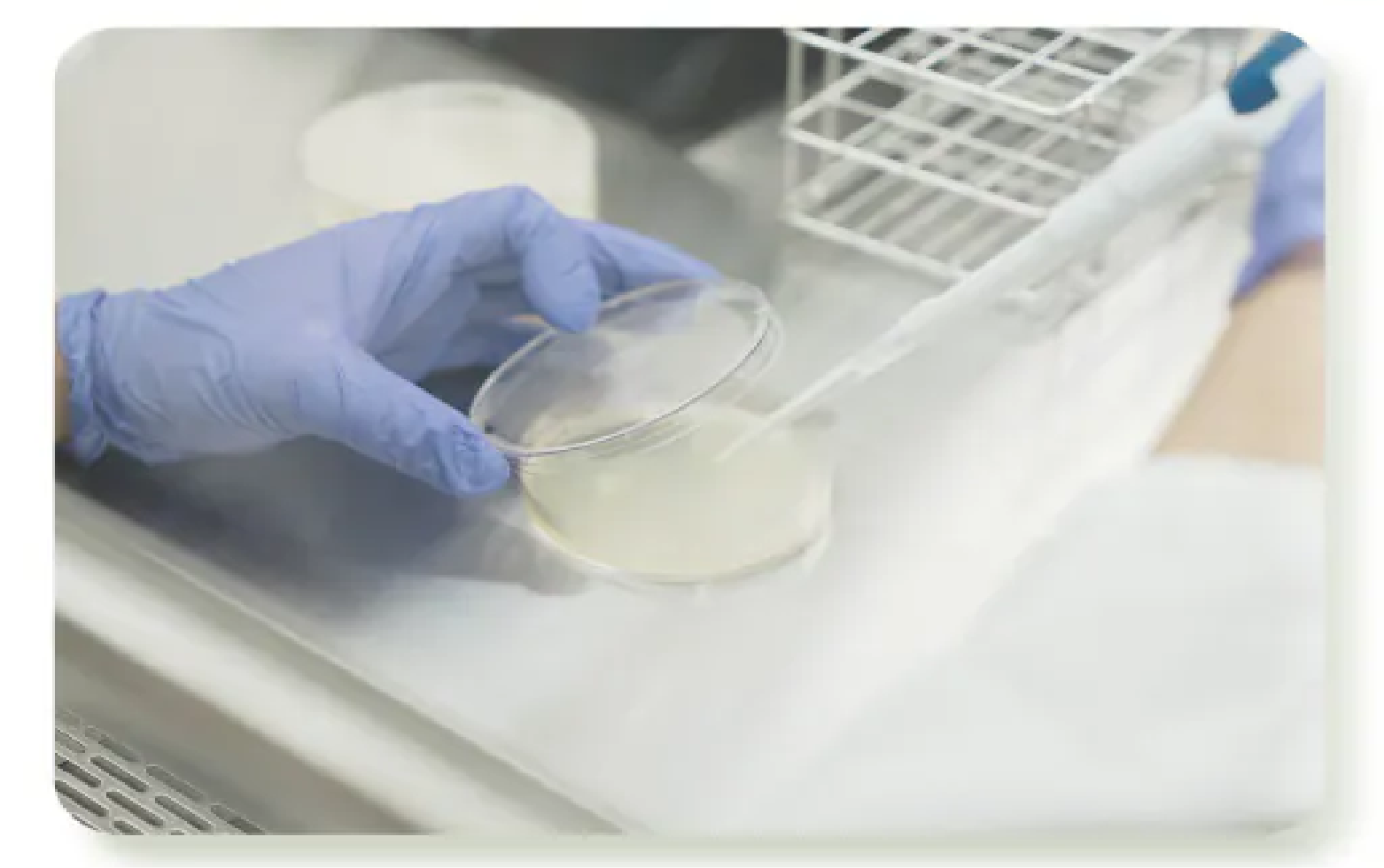 艸研所 ISO 22716 實驗室