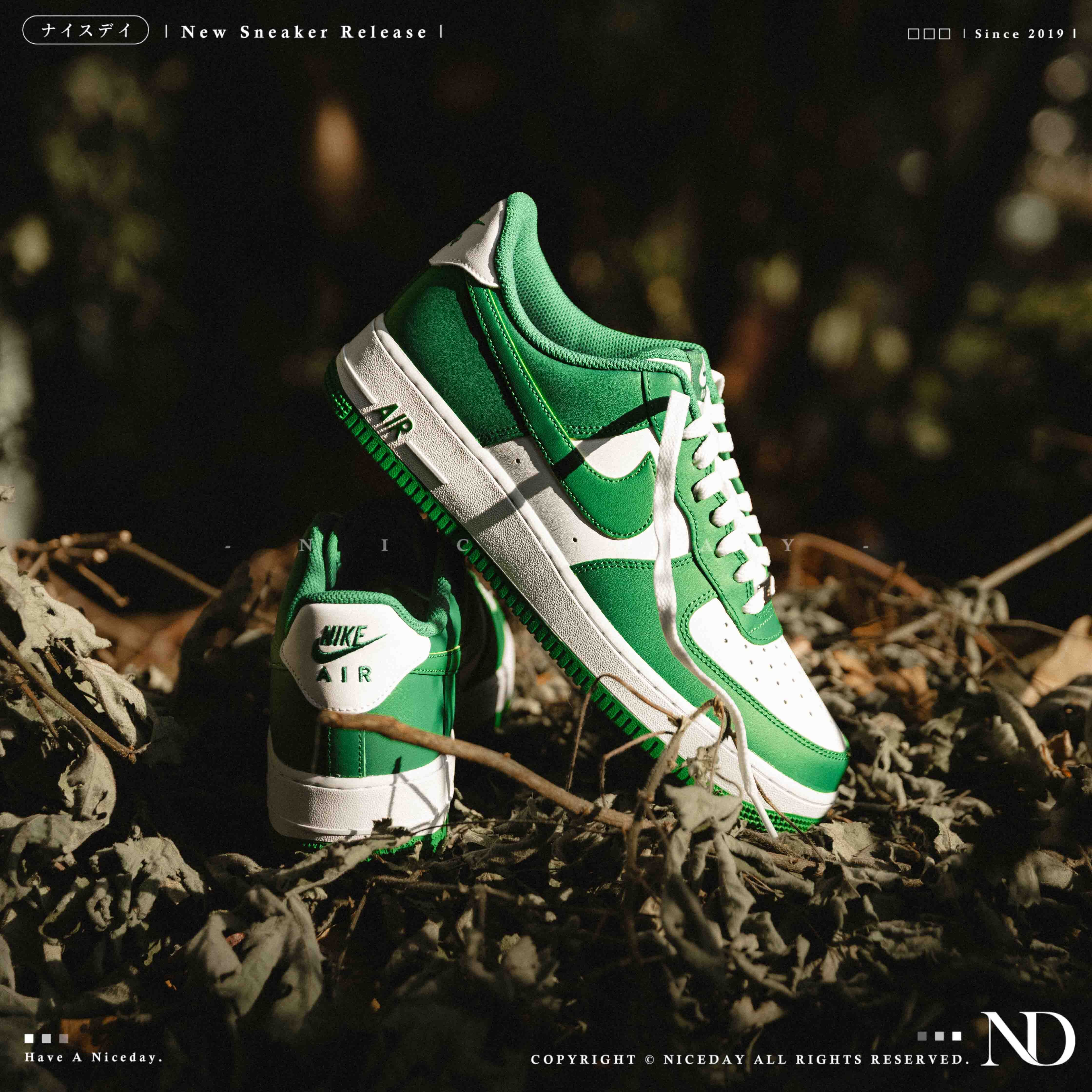 NICEDAY 現貨 Nike Air Force 1 綠 森林綠 草綠色 淺綠 復古 FJ4146-122