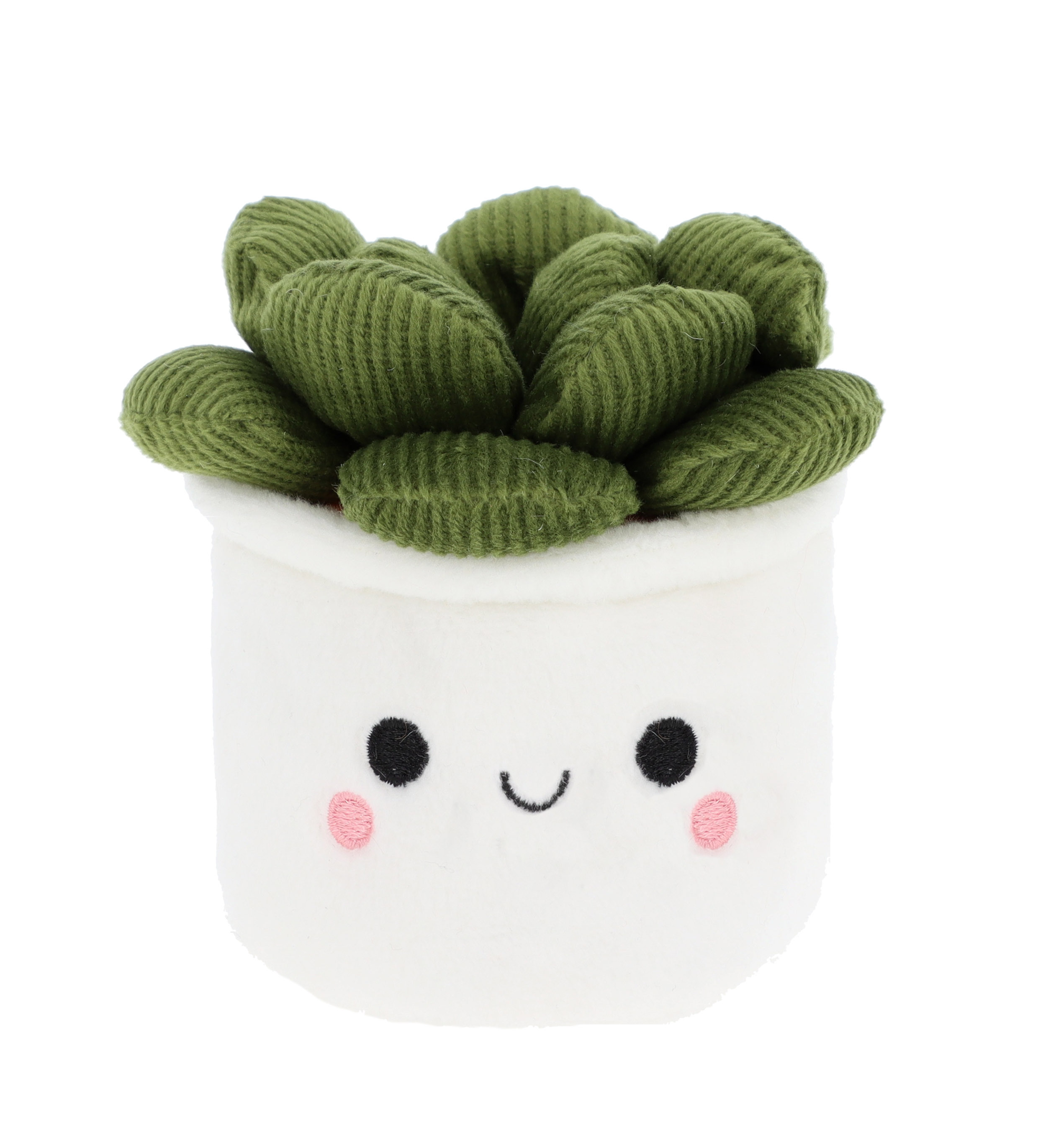 Keel Toys Plant Bobballs Haworthia Cooperi 玉露盆栽