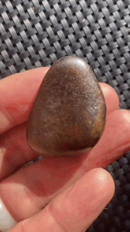 19715 和田玉原籽