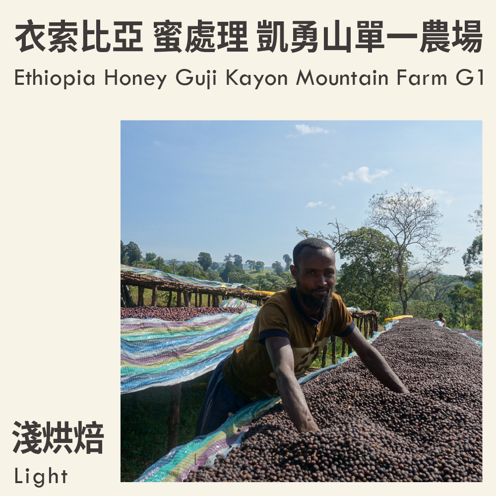 衣索比亞 蜜處理 古吉 凱勇山單一農場 G1