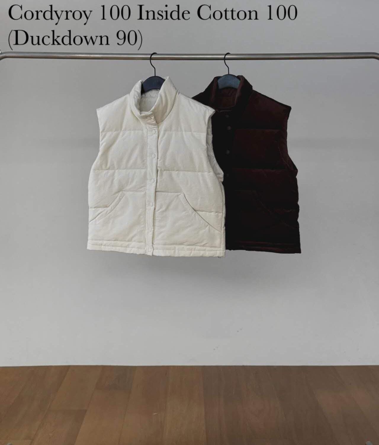 DR5443 簡約立領羽絨背心 *特價* (優惠碼同充值購物金不適用)