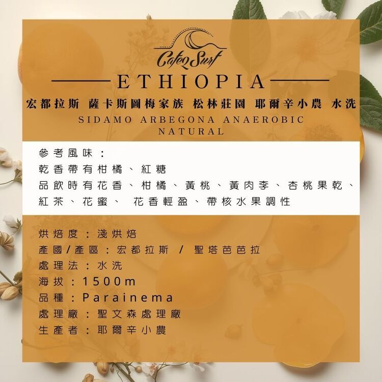 採蜜迷蹤｜宏都拉斯 聖塔芭芭拉 Parainema 水洗﹙半磅裝／227g﹚