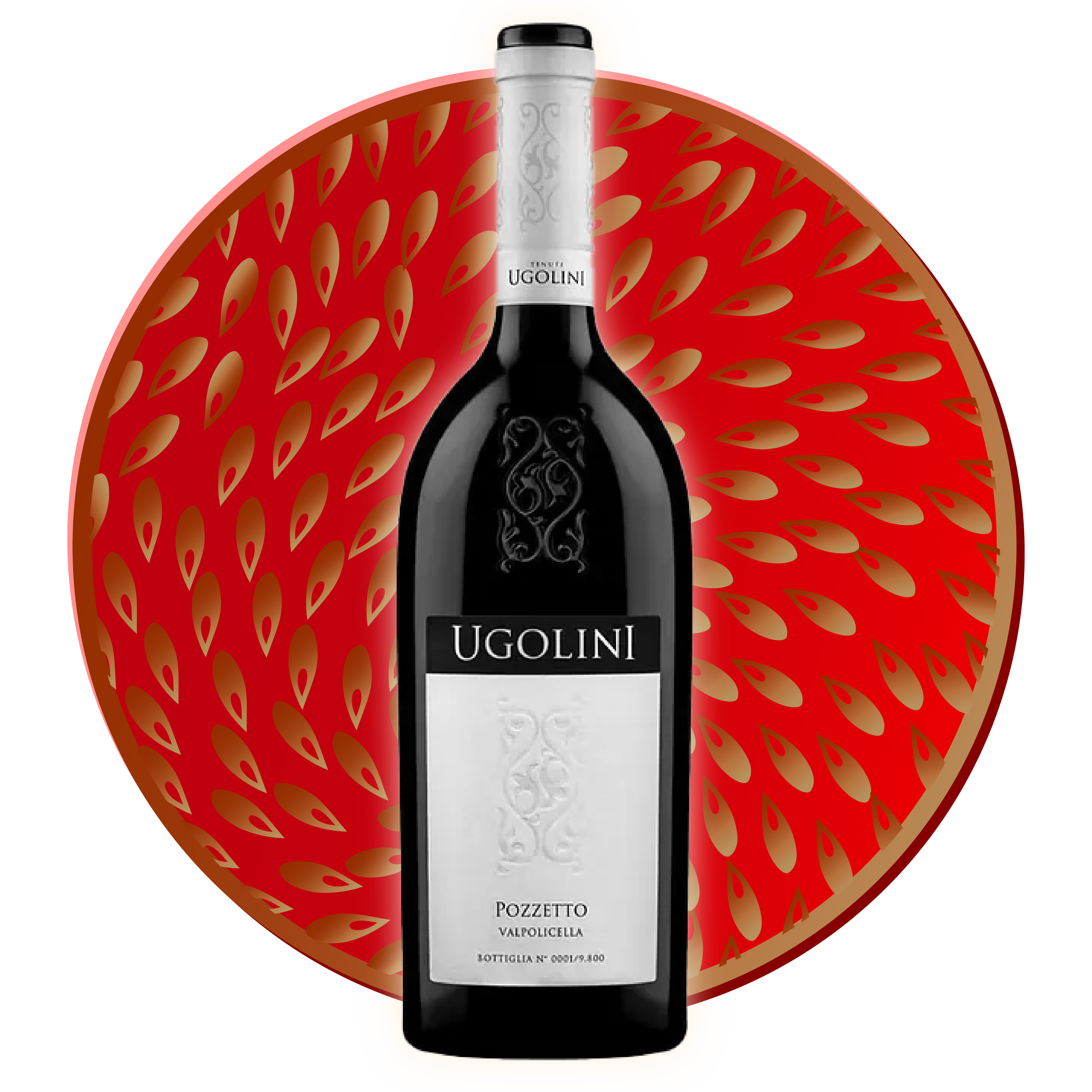 Ugolini Pozzetto Valpolicella Classico 2020 750ml