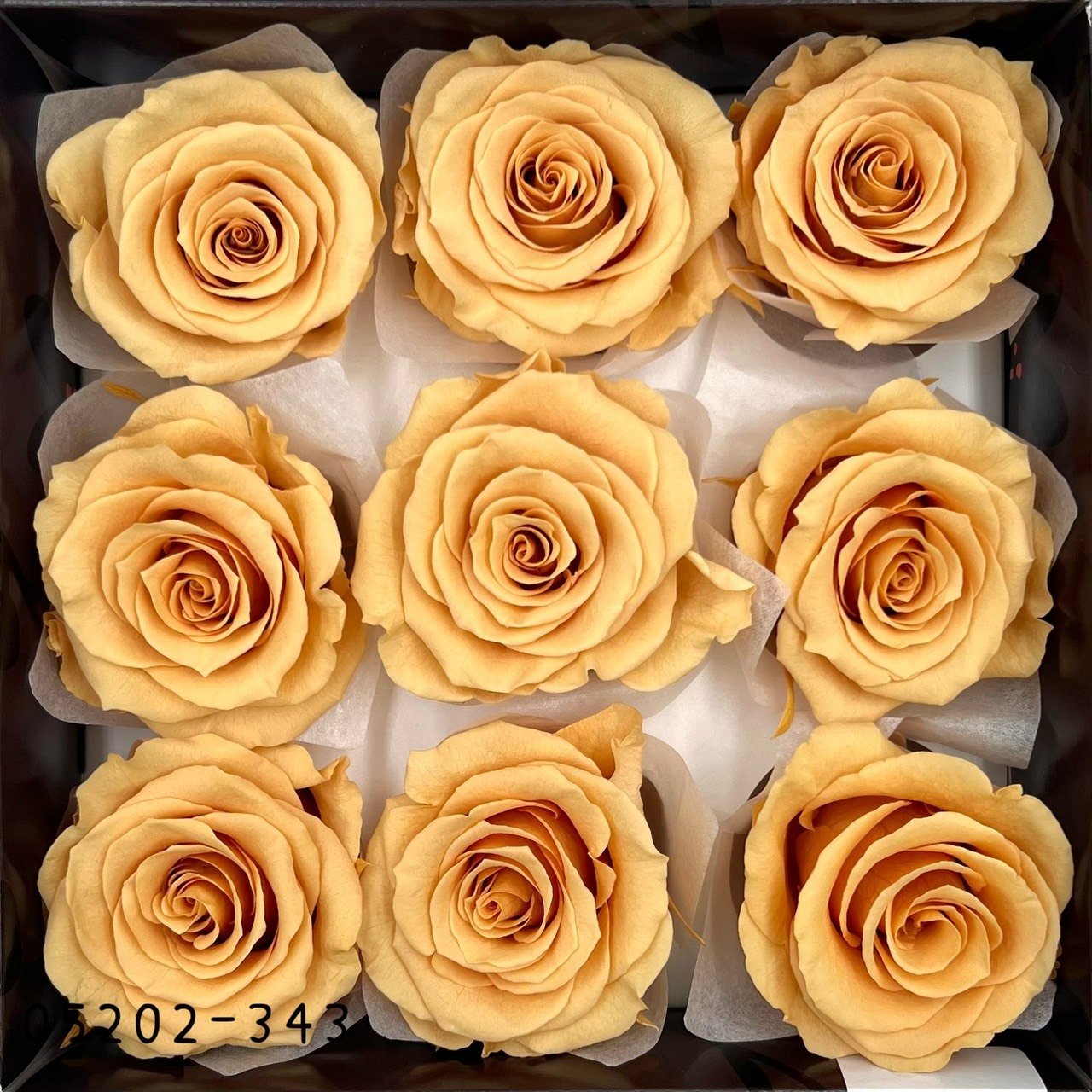 日本不凋大輪玫瑰(M-9朵) 05202-343