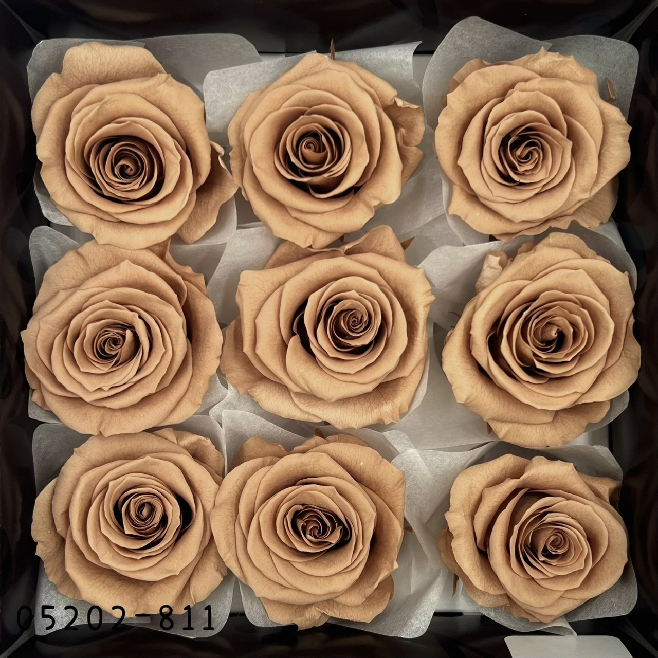 日本不凋大輪玫瑰(M-9朵) 05202-811