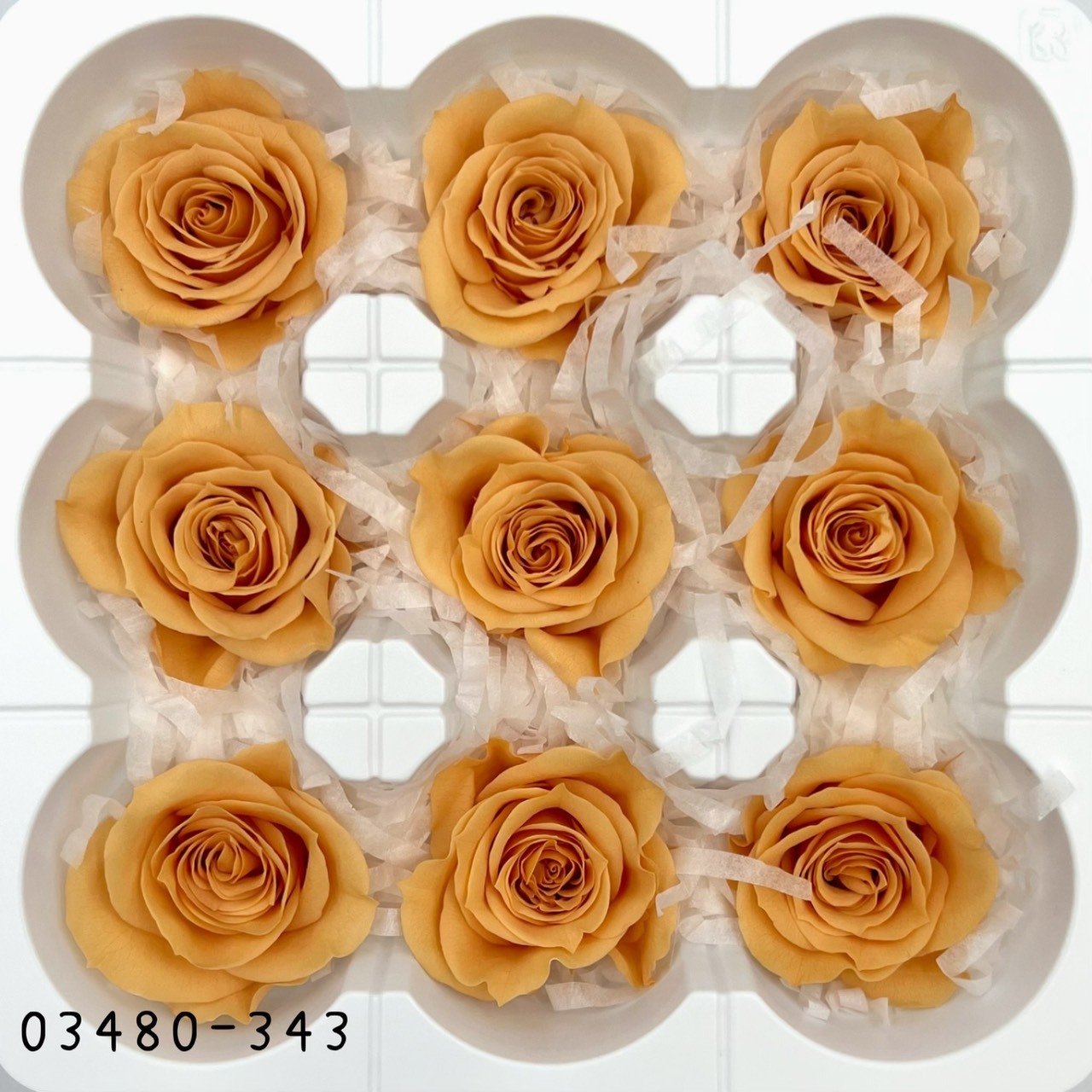 日本不凋中輪玫瑰(9朵) 03480-343
