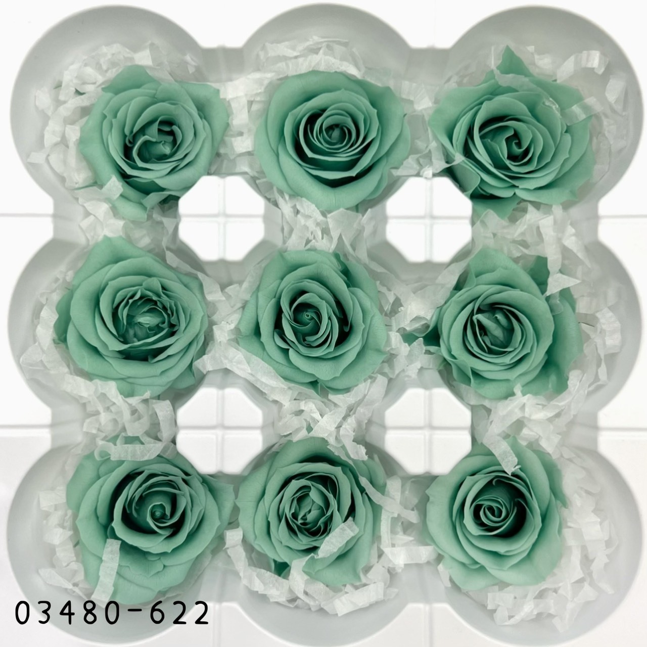 日本不凋中輪玫瑰(9朵) 03480-622