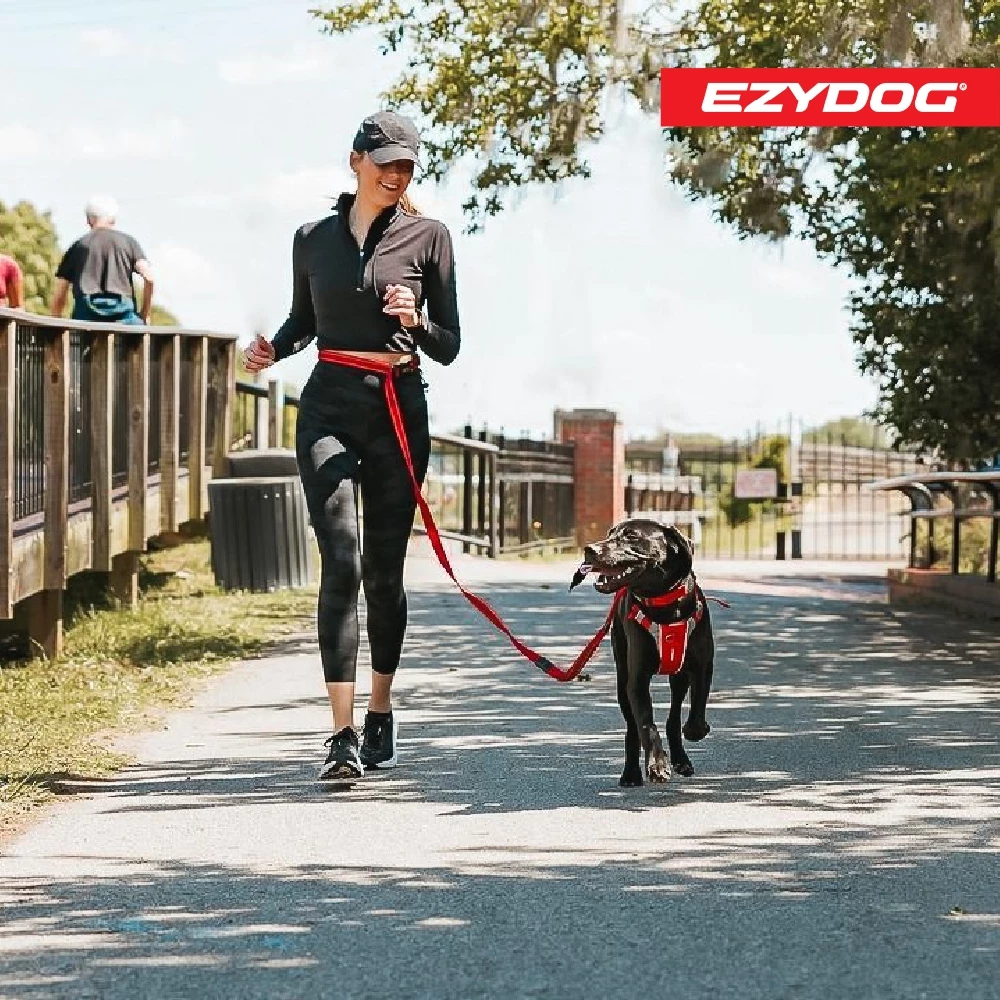 澳洲EzyDog | 零拉力牽繩210公分 防暴衝