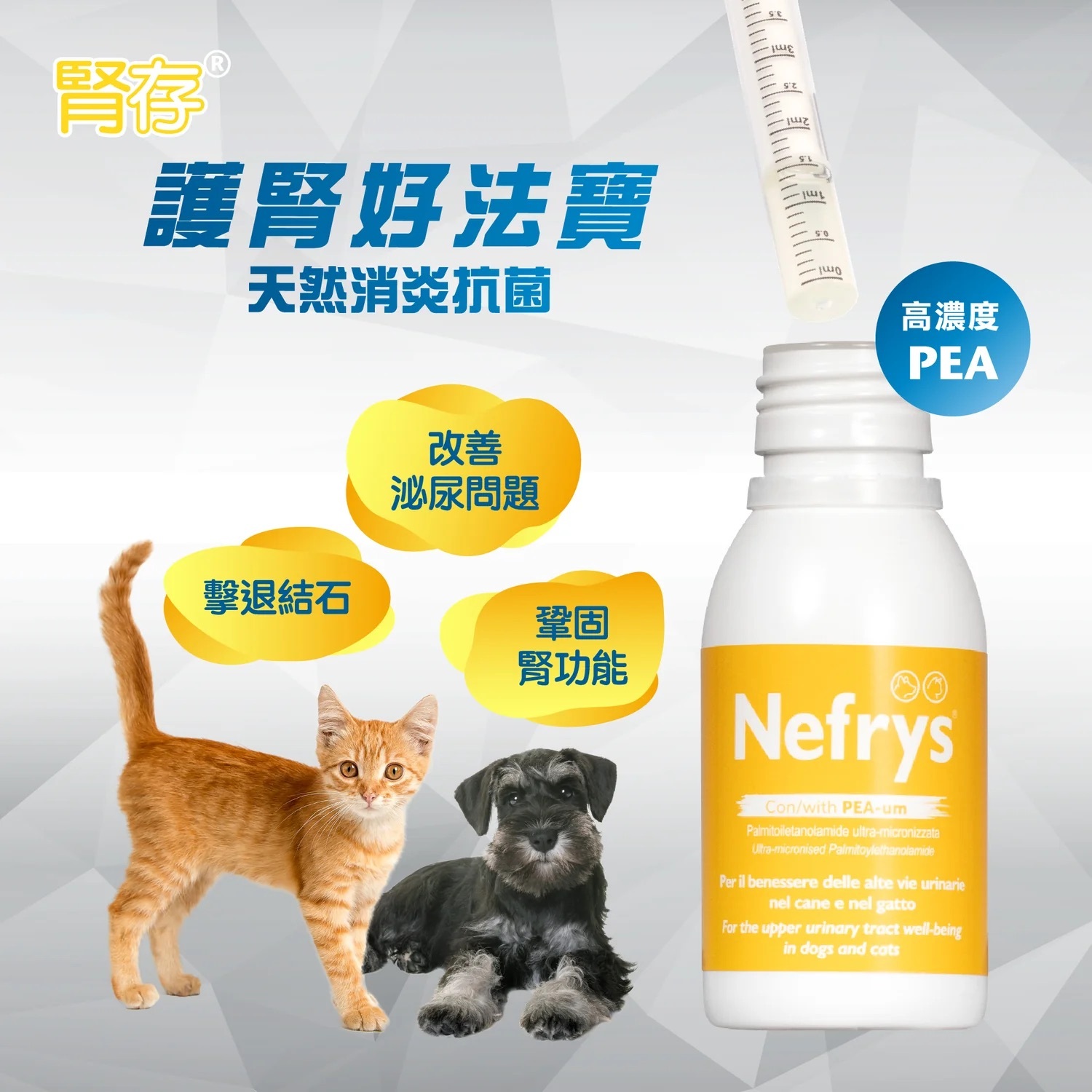 Nefrys 腎存泌尿強腎配方 100ml