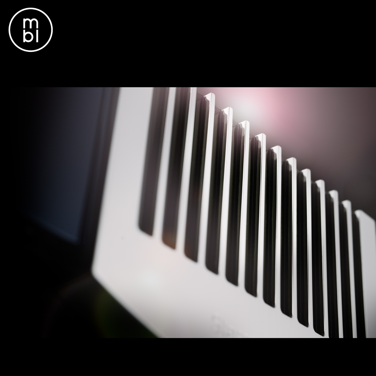 MBL Noble N21 Stereo Power Amplifier Front Shot 8