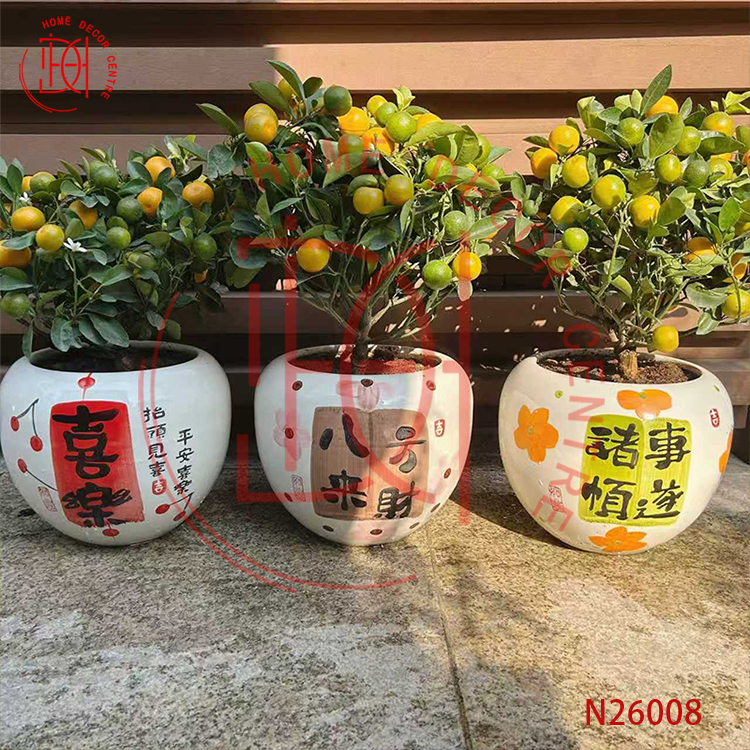 小品四季桔(高45CM)-N26008