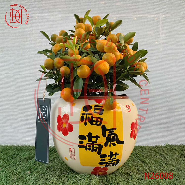 小品四季桔(高45CM)-N26008