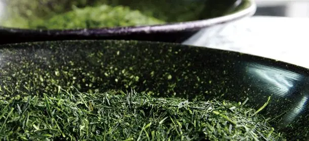 有機栽培綠茶 綠茶茶葉 100g/包 日本直送 此日期前最佳：2026/4/10