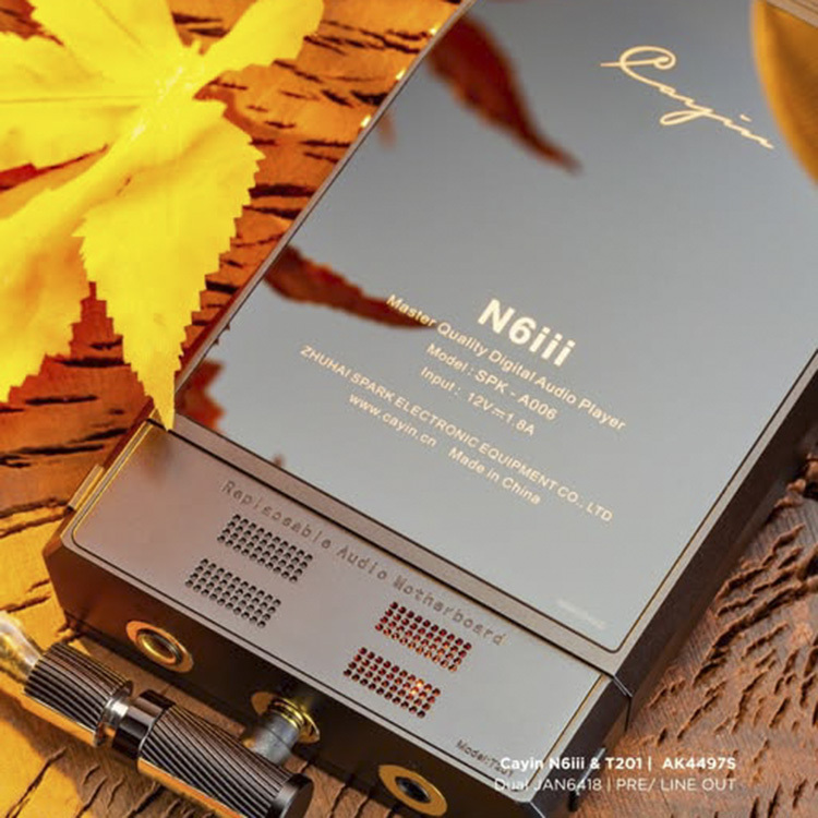 Cayin N6 iii + T201 便攜音樂播放器