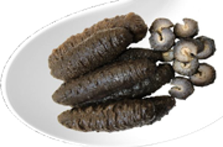 0116ZP13-珍品李家ZP-[急凍土耳其海參 約4磅]A13A, [急凍澳洲禿參 約1磅]A13B, [急凍北海道刺參 約1磅 買一送一]A13C（A13）